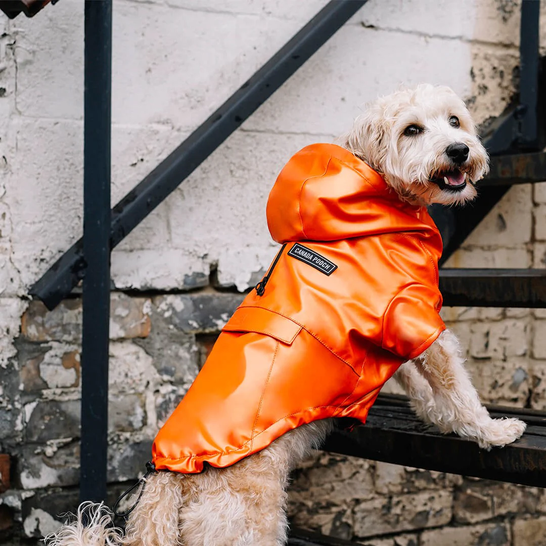 Cold Front Raincoat - Image 5