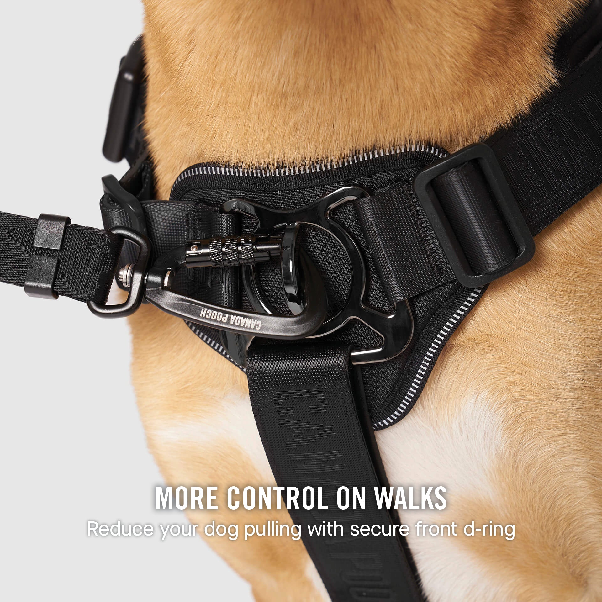 Complete Control Harness - Image 28
