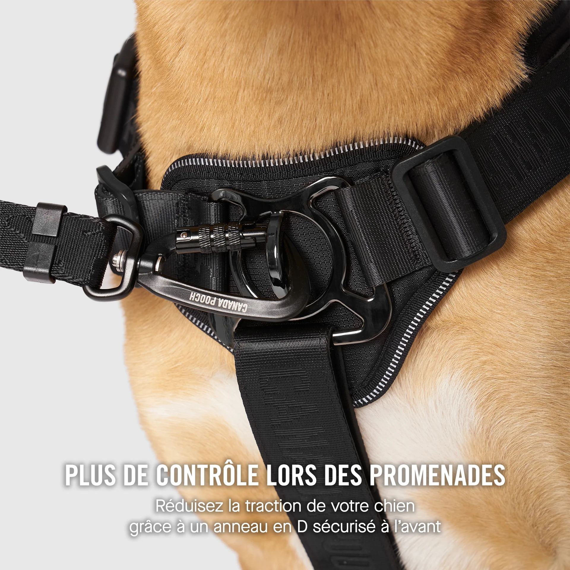 Complete Control Harness - Image 3