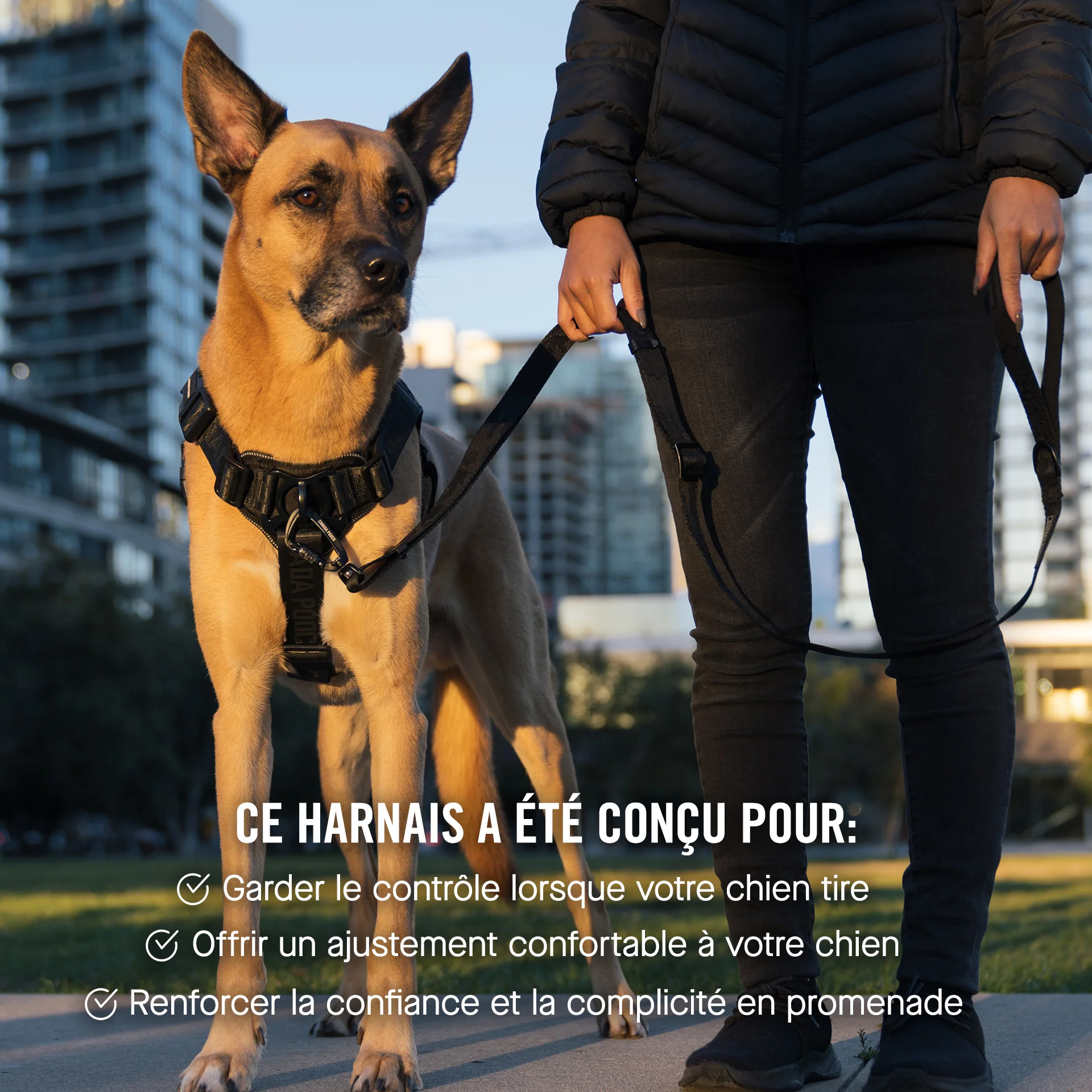 Complete Control Harness - Image 32