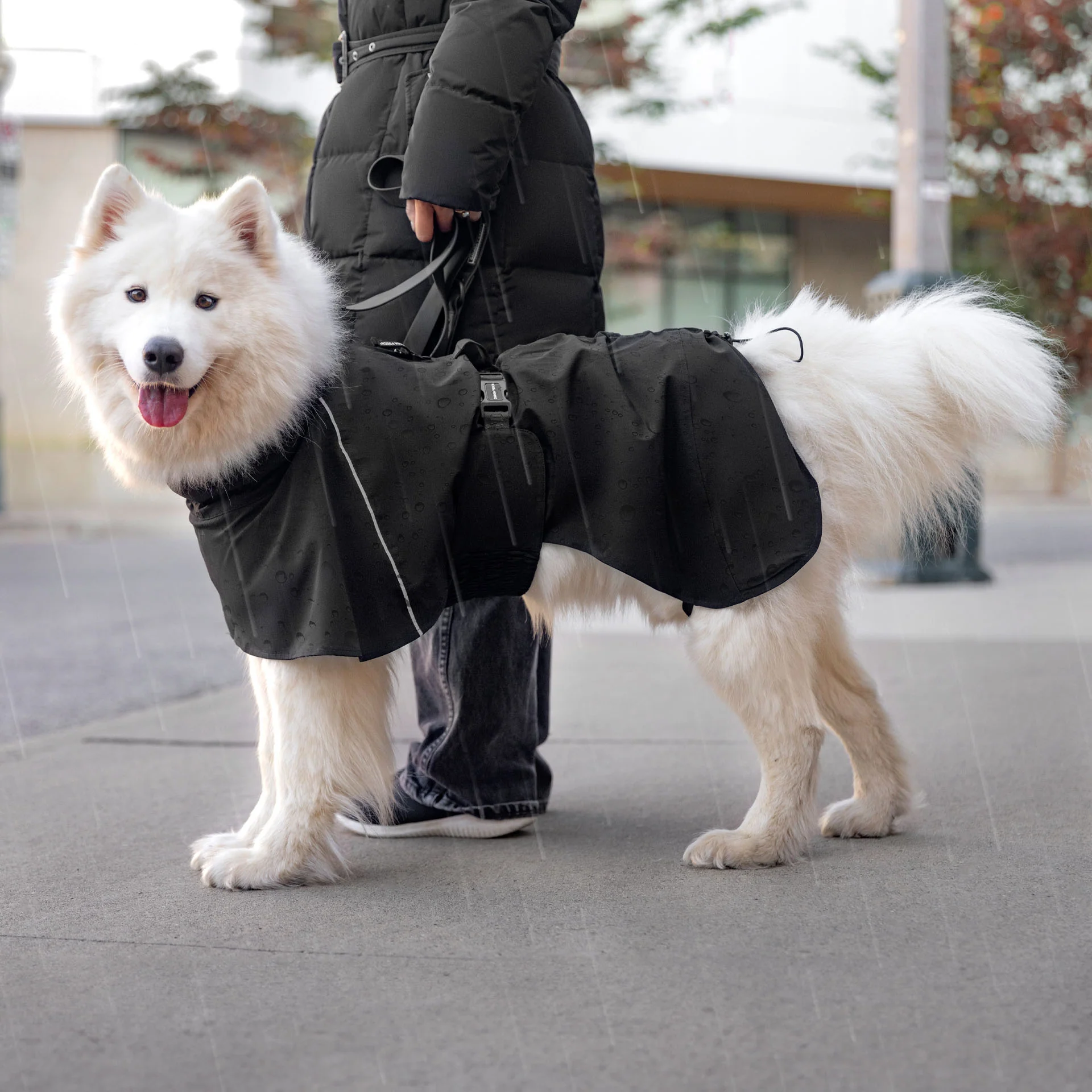 Complete Coverage Raincoat - Image 5
