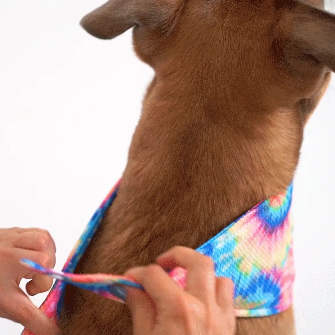 Cooling Bandana - Image 27