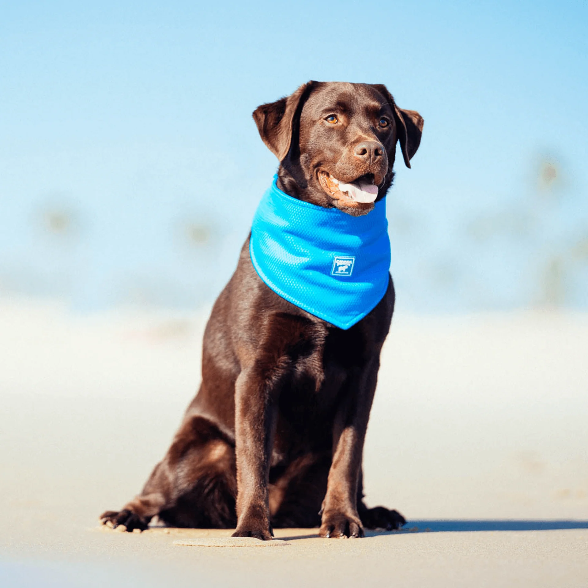 Cooling Bandana - Image 3