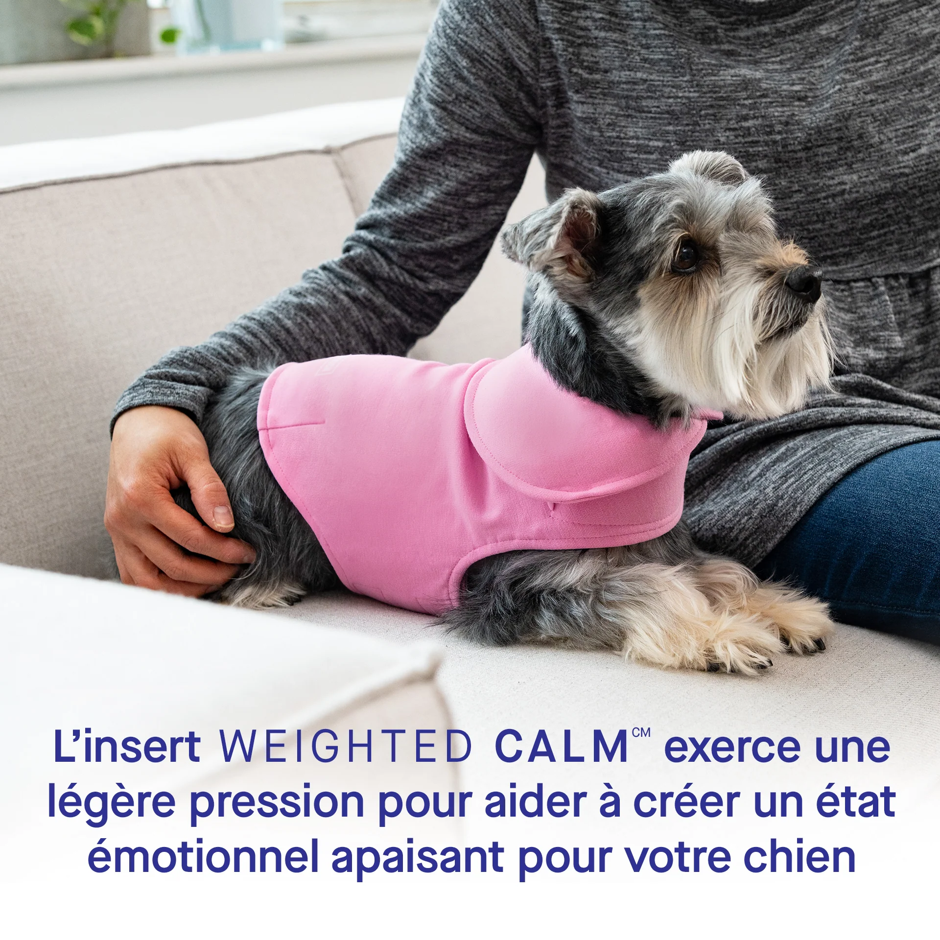 Weighted Calming Vest - Image 27