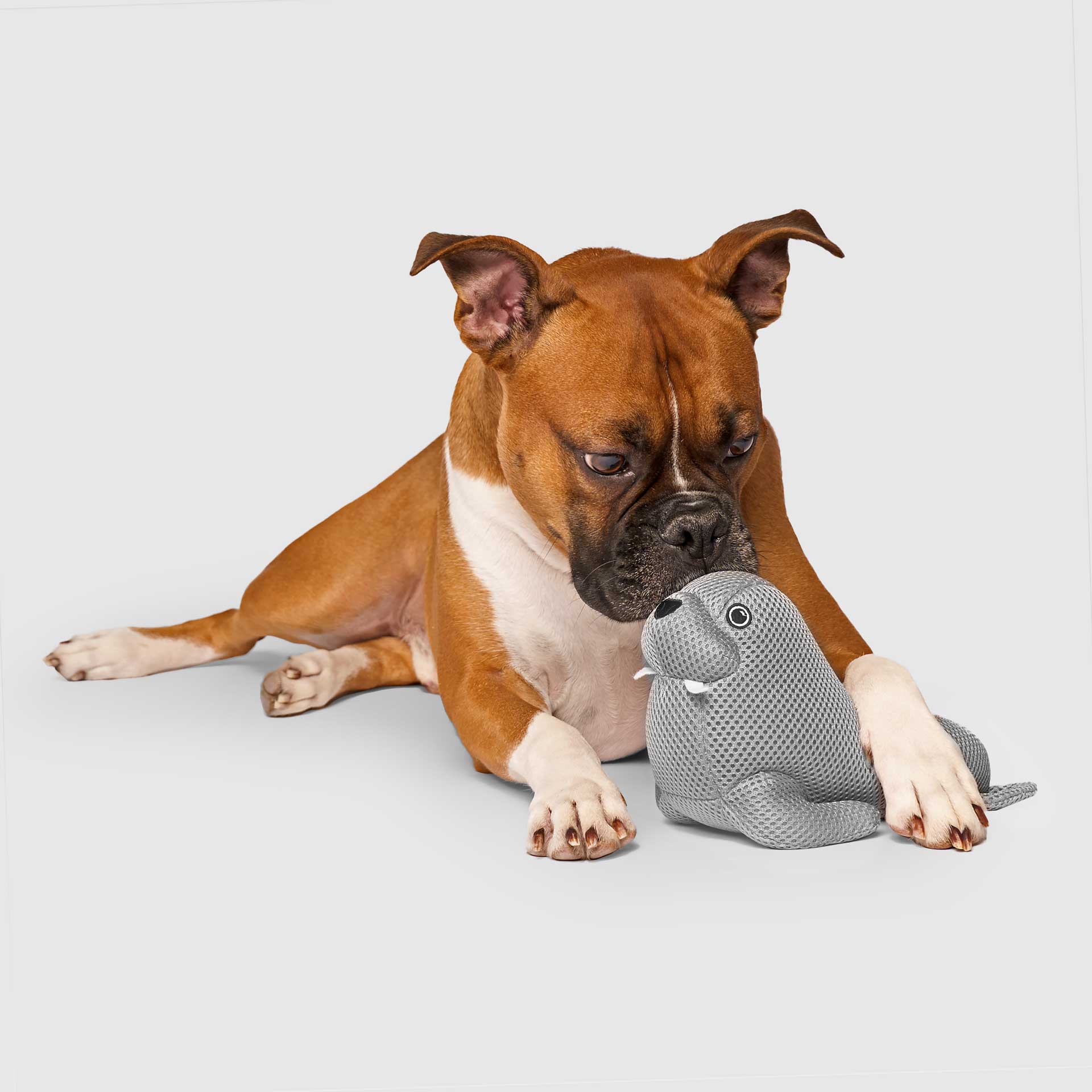 Freeze & Chill Cooling Pal Toy - Image 2