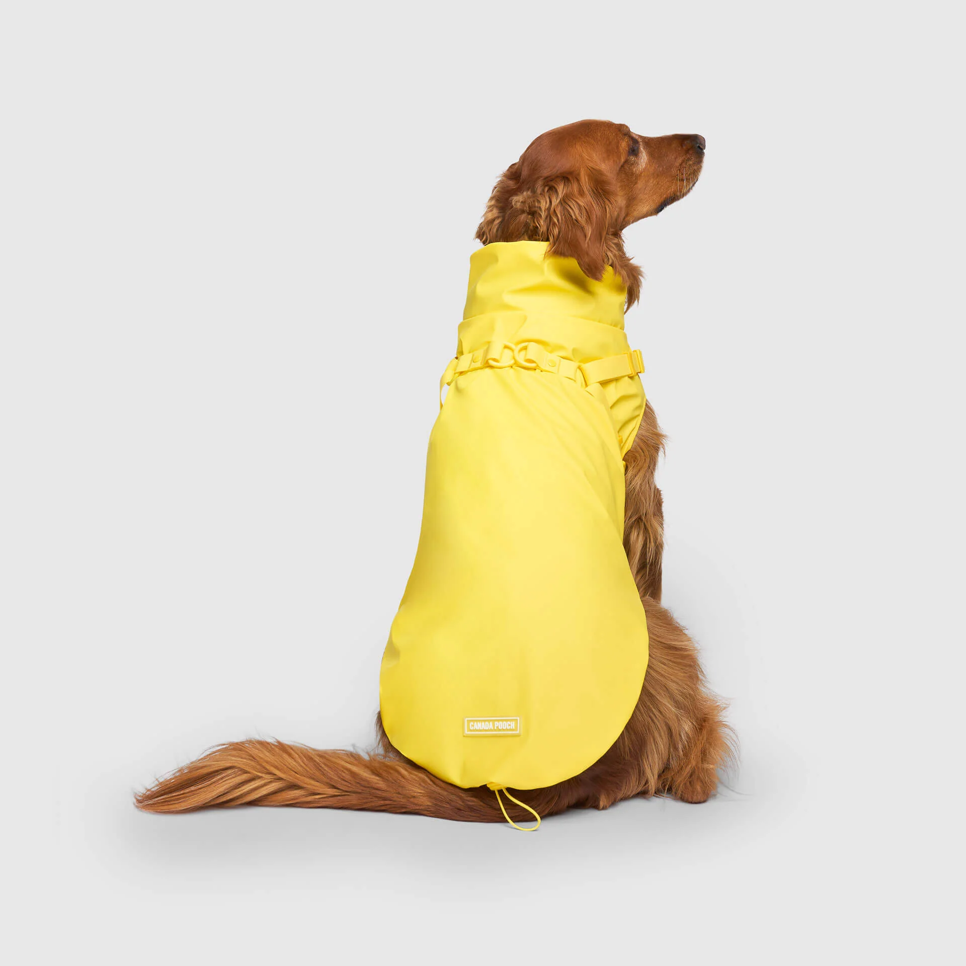 Harness Raincoat - Image 10