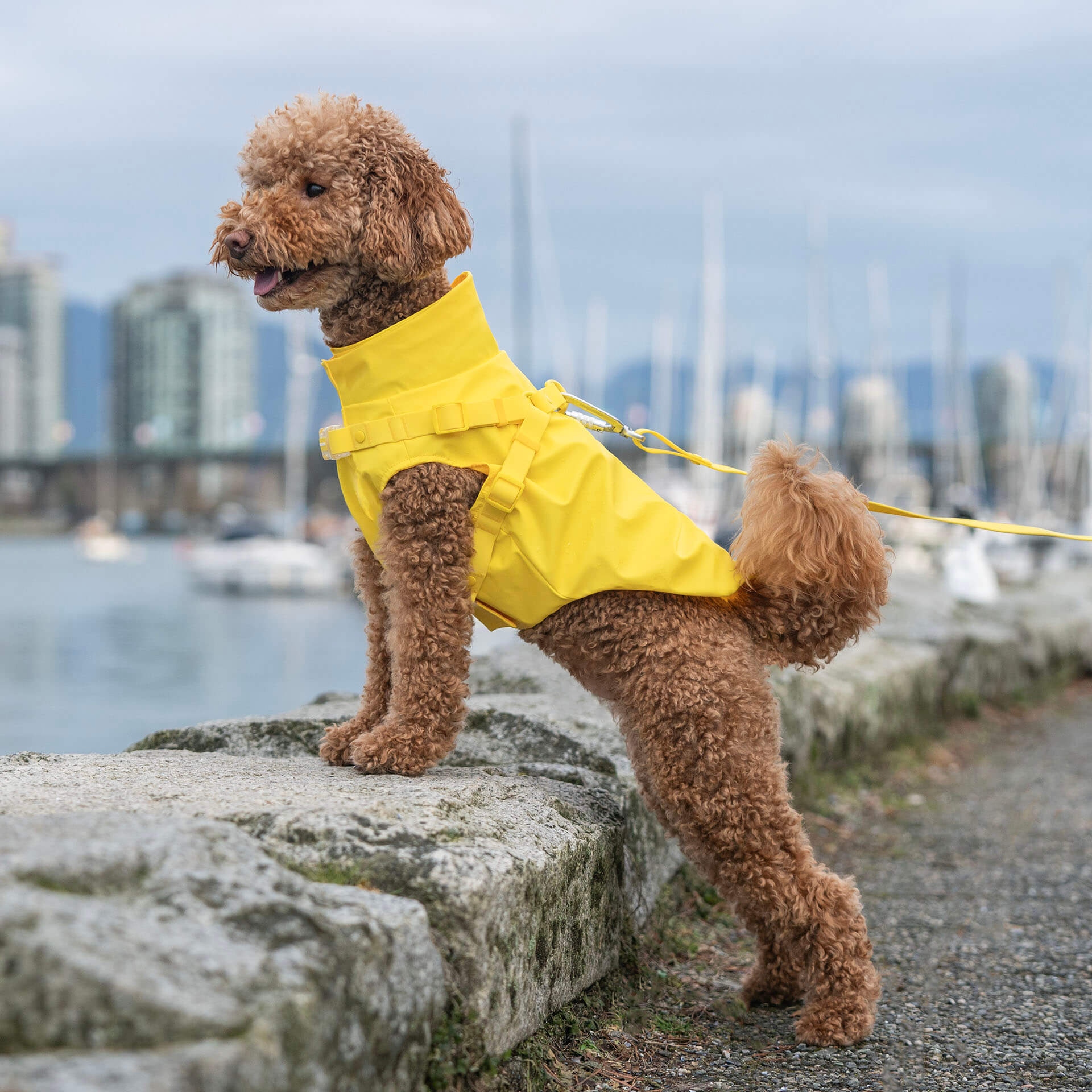 Harness Raincoat - Image 12