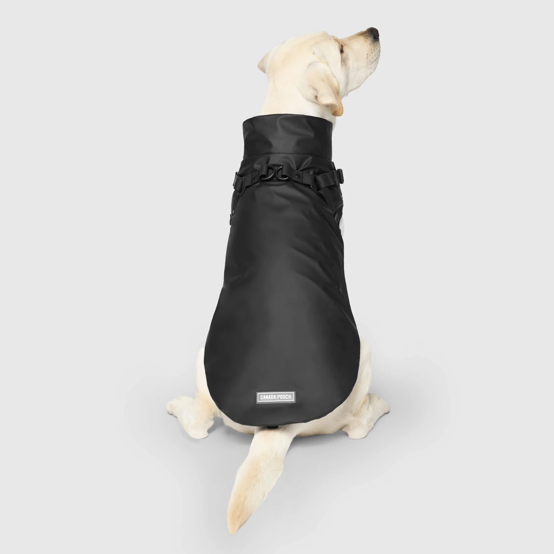 Harness Raincoat - Image 19