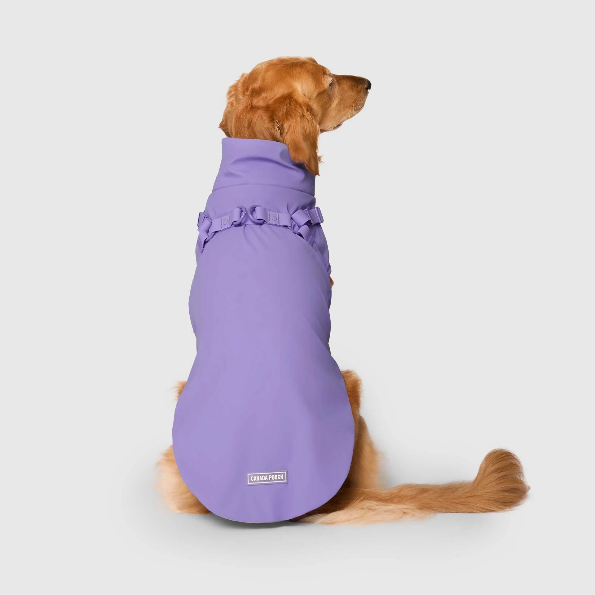 Harness Raincoat - Image 29