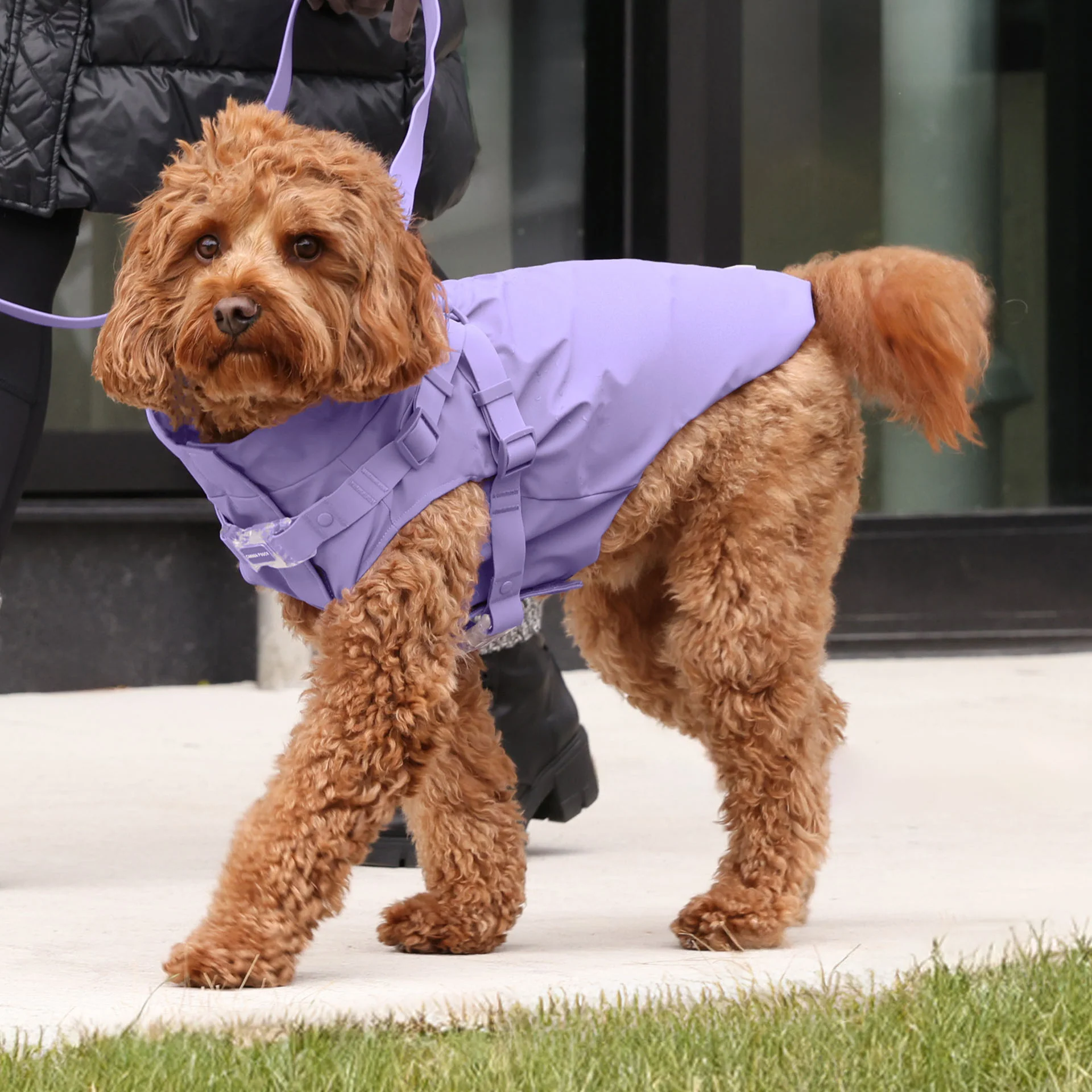 Harness Raincoat - Image 31