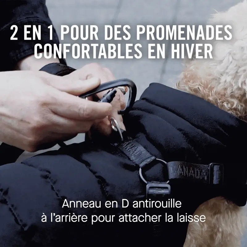 Harness Puffer - Image 30