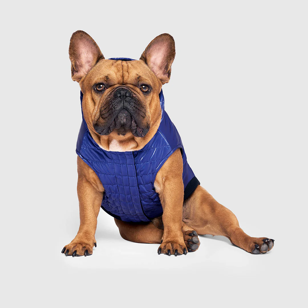 Shiny Puffer Vest - Image 14