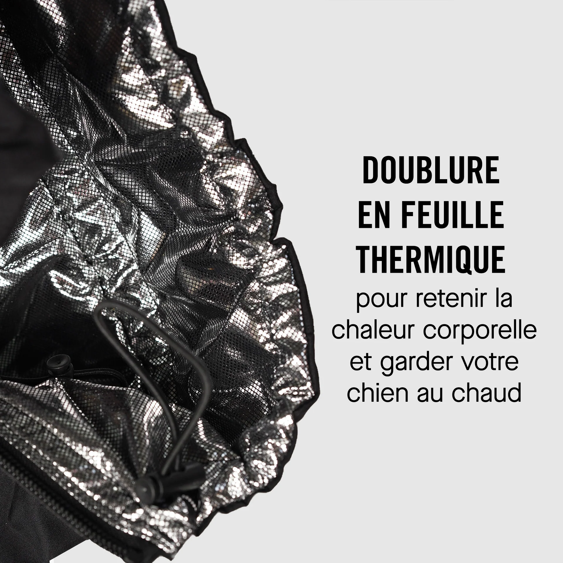 The Snow Suit - Image 11