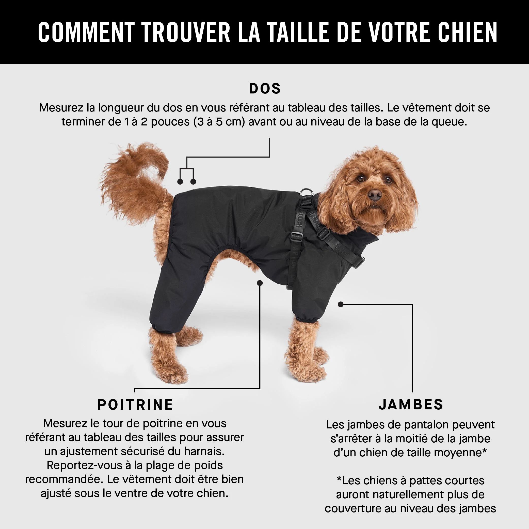 Harness Snow Suit - Image 9