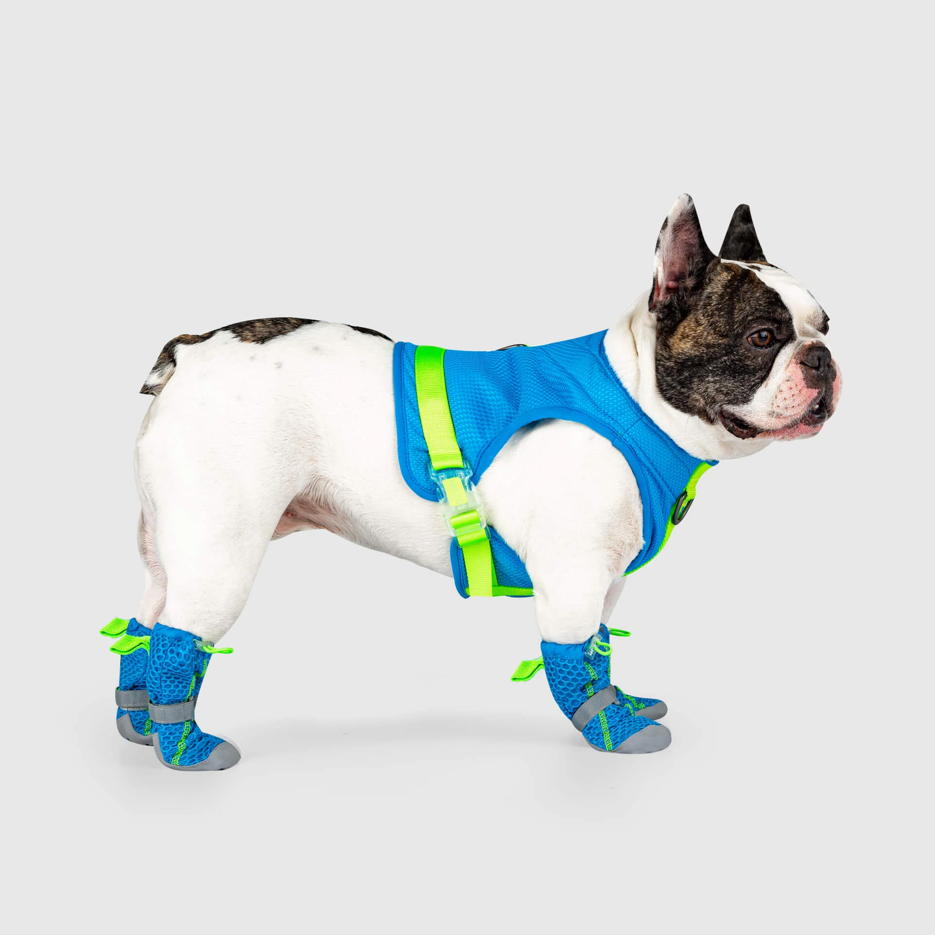 Hot Pavement Boots - Image 3