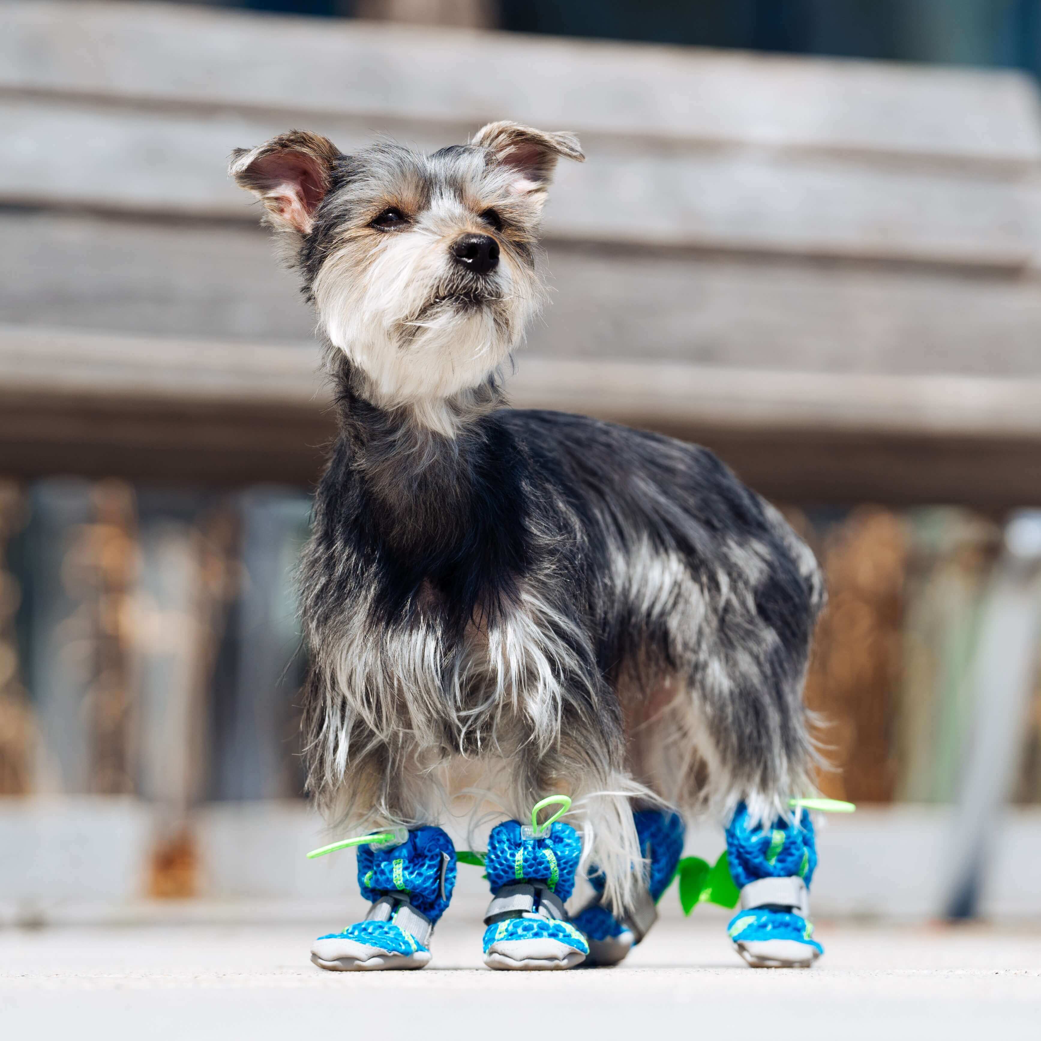 Hot Pavement Boots - Image 5
