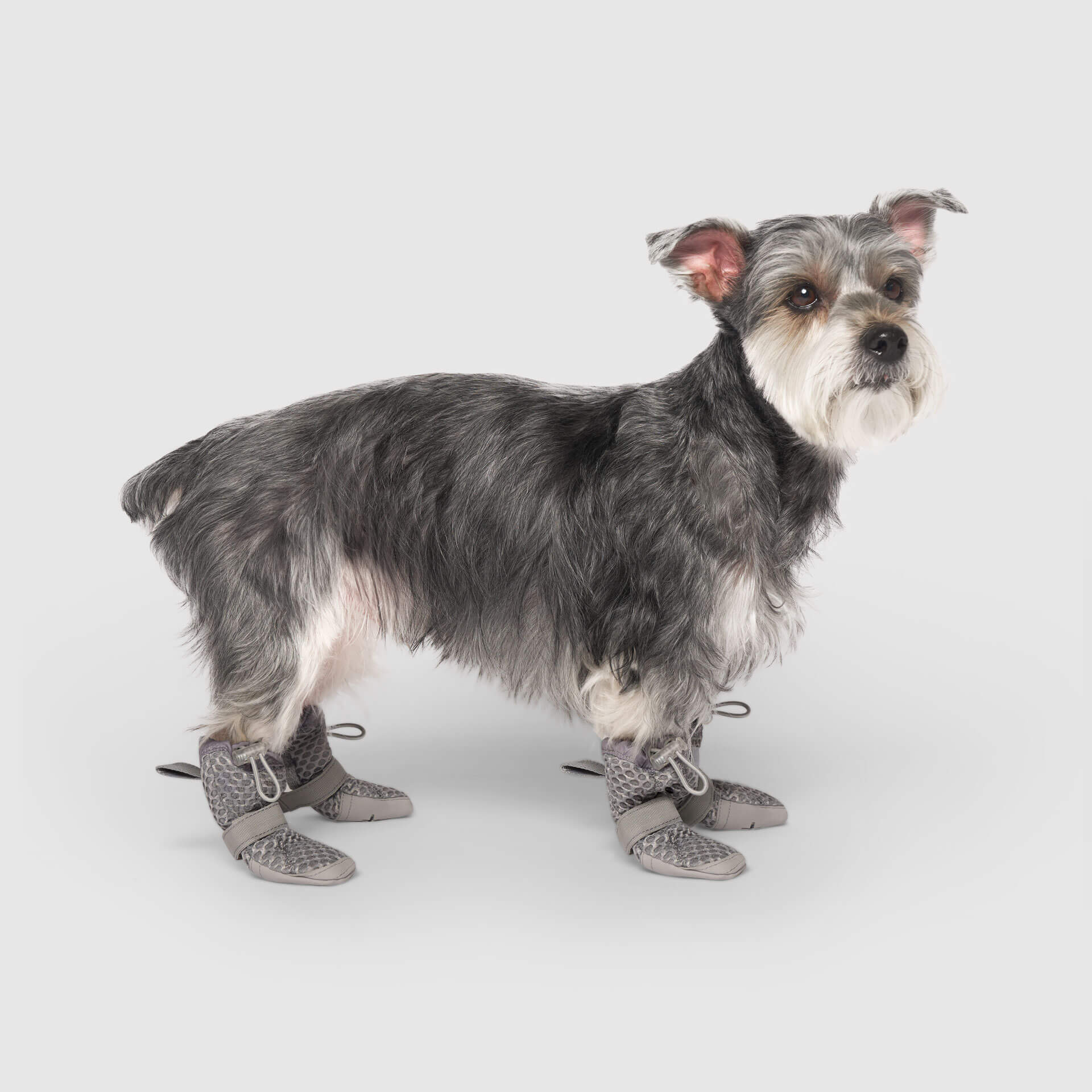 Hot Pavement Boots - Image 6
