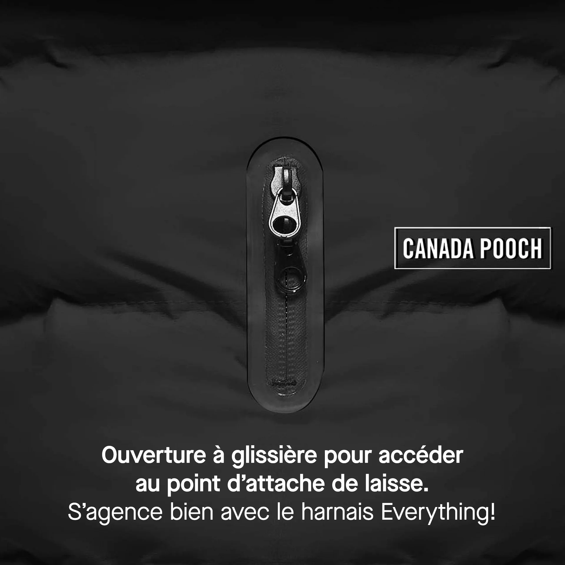 Waterproof Puffer - Image 40