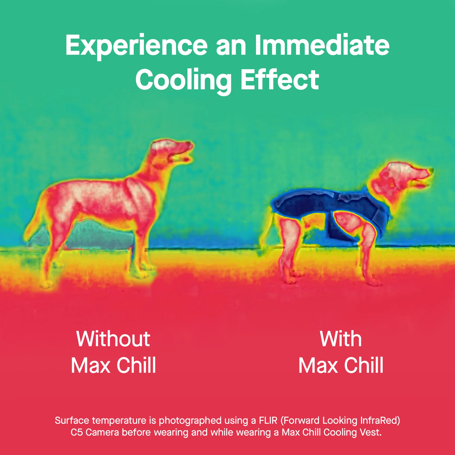 Max Chill Cooling Harness - Image 18