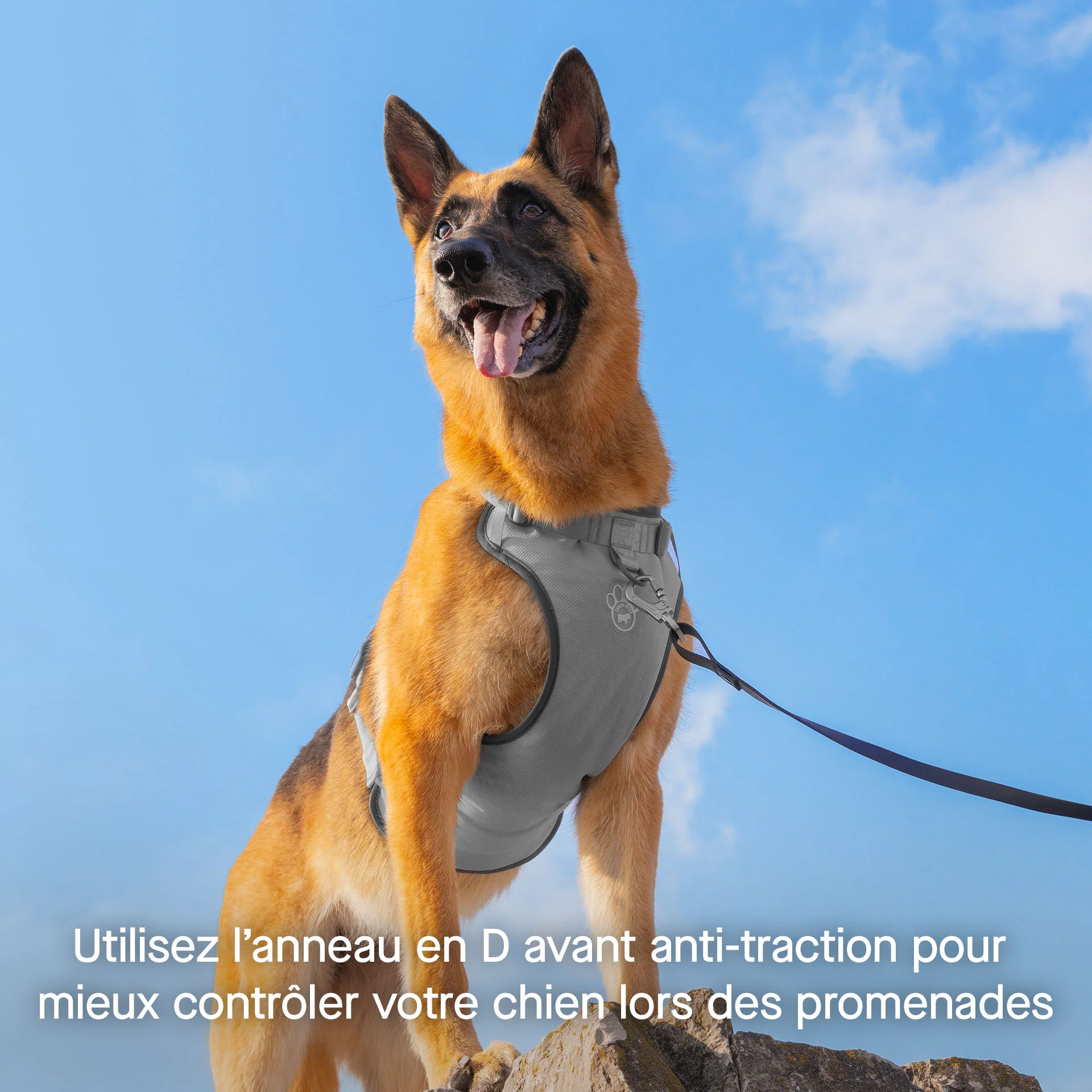 Max Chill Cooling Harness - Image 25