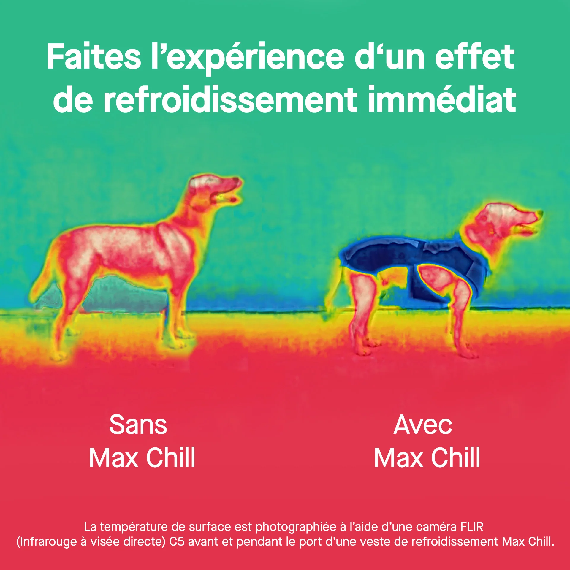Max Chill Cooling Snood - Image 27
