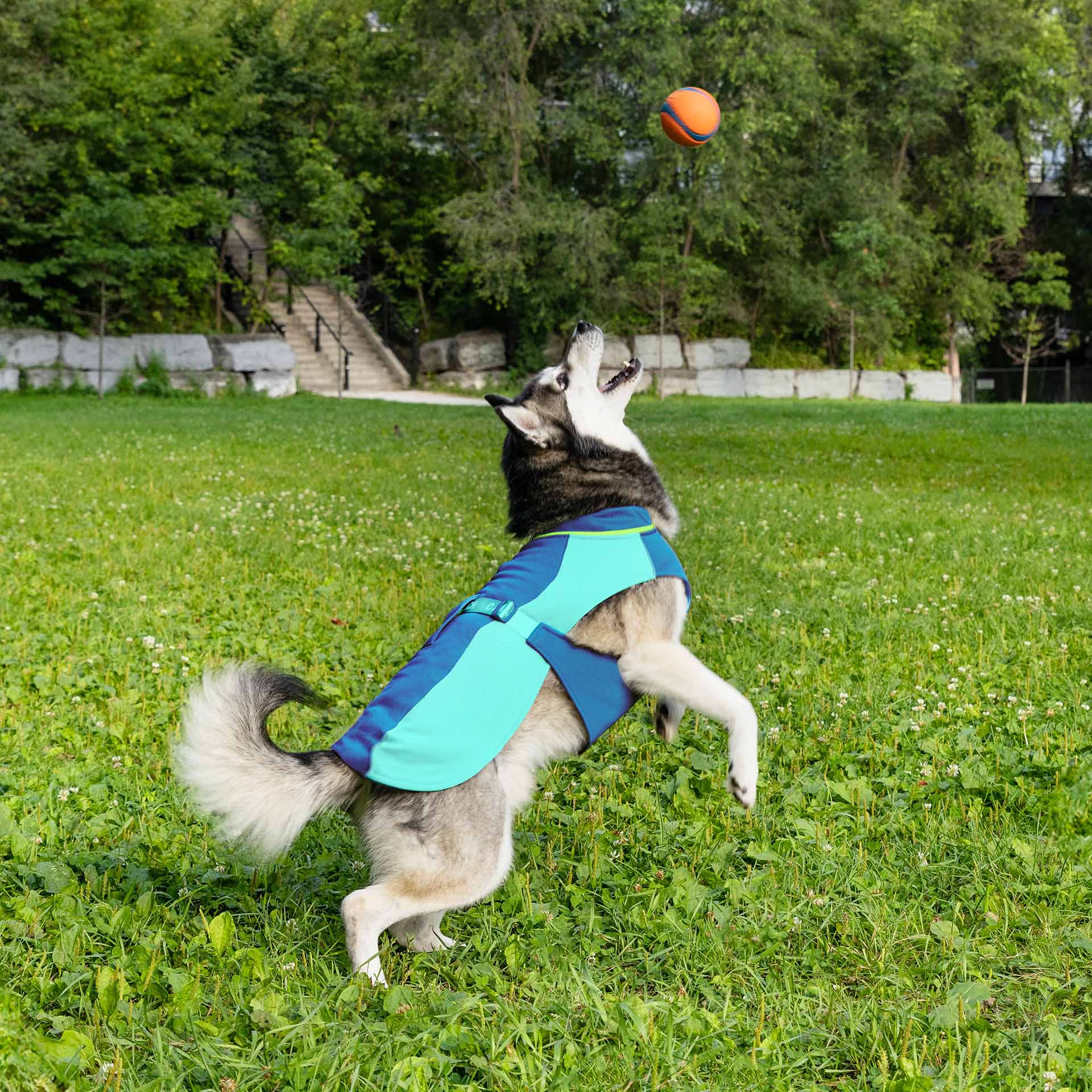 Max Chill Cooling Vest - Image 13