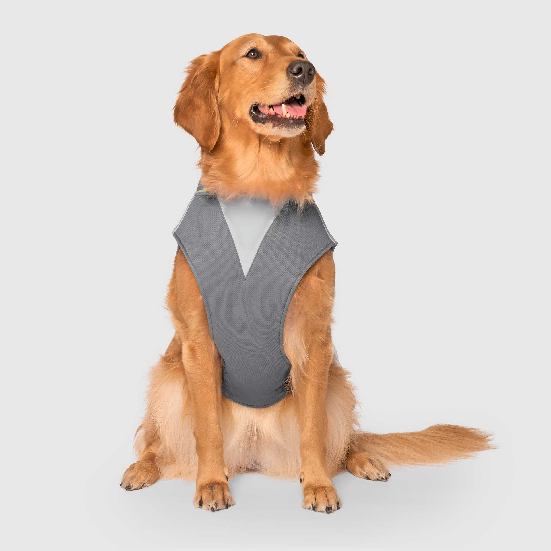 Max Chill Cooling Vest - Image 23