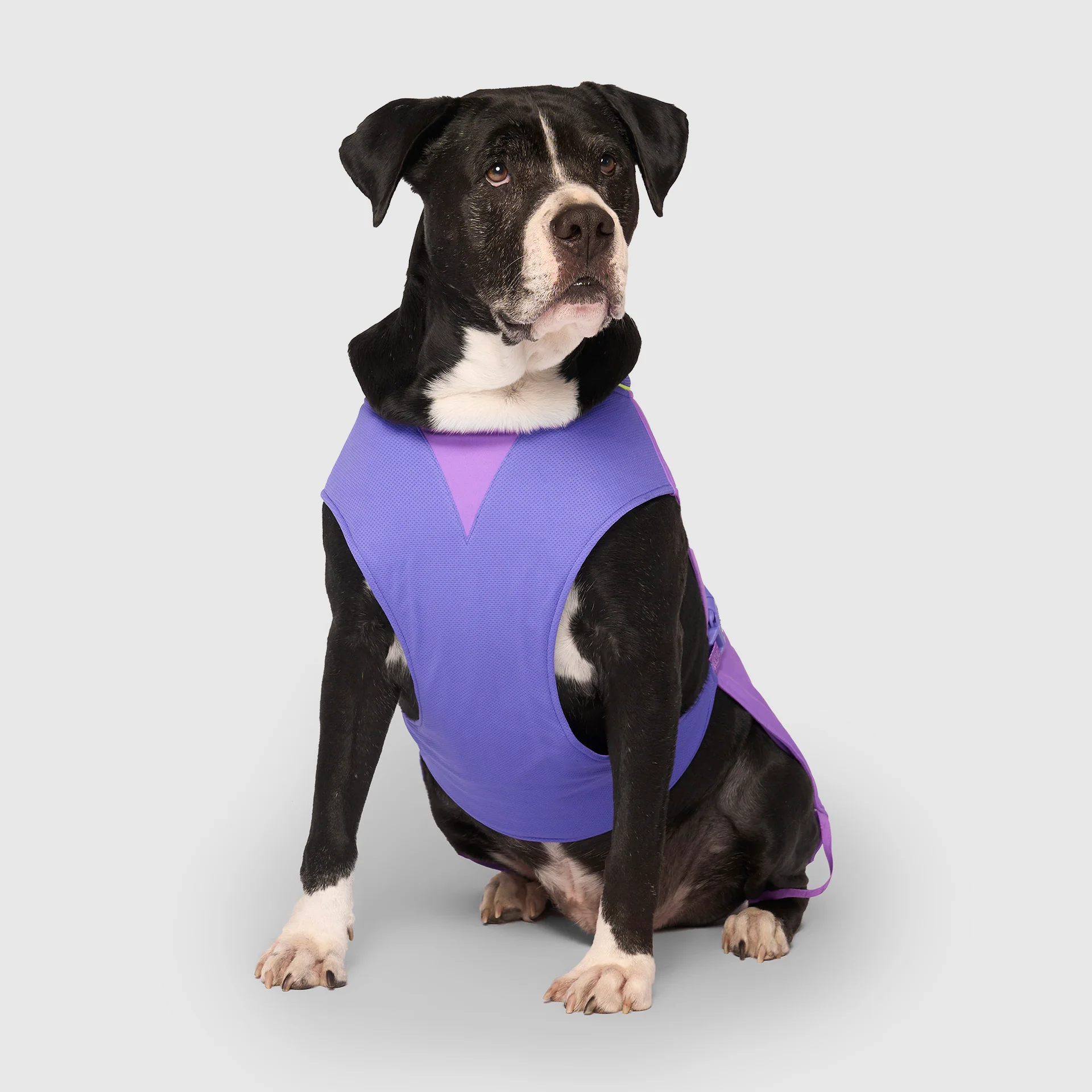 Max Chill Cooling Vest - Image 36