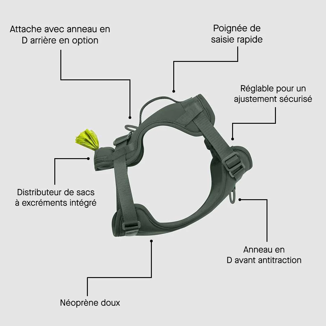 Neoprene Harness - Image 14