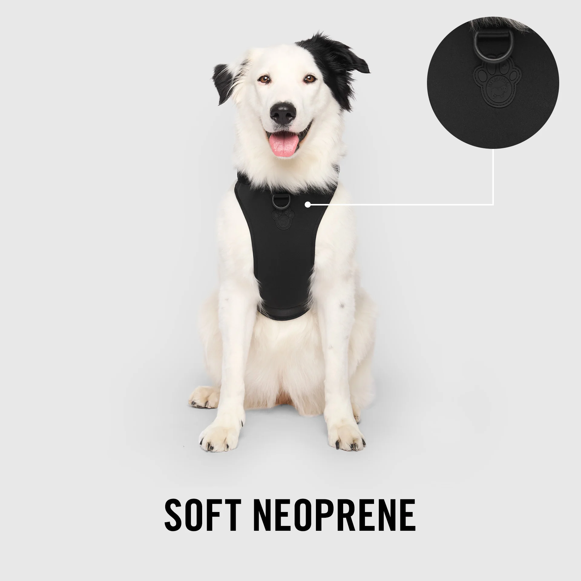 Neoprene Harness - Image 8