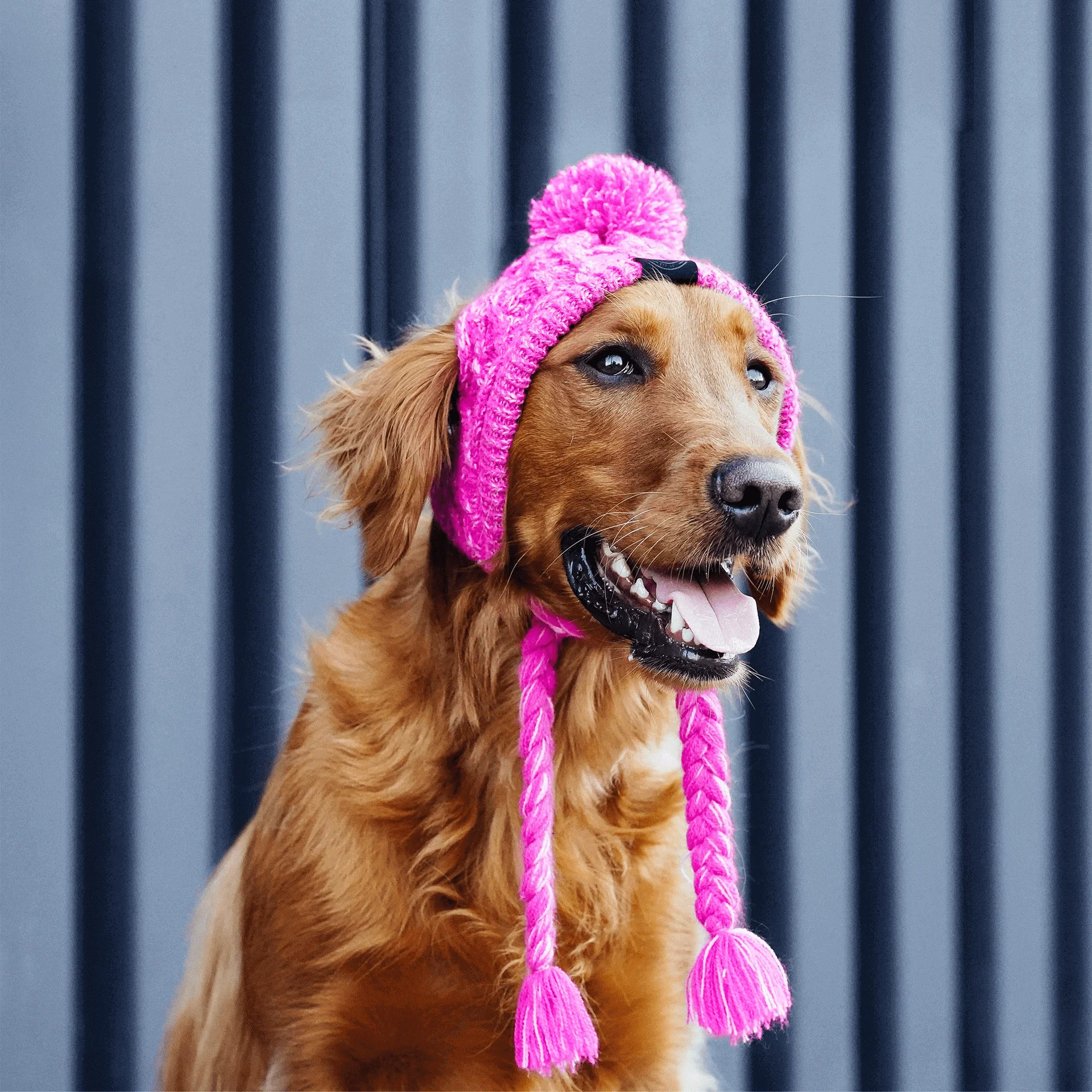 Polar Pom Pom Hat - Image 9
