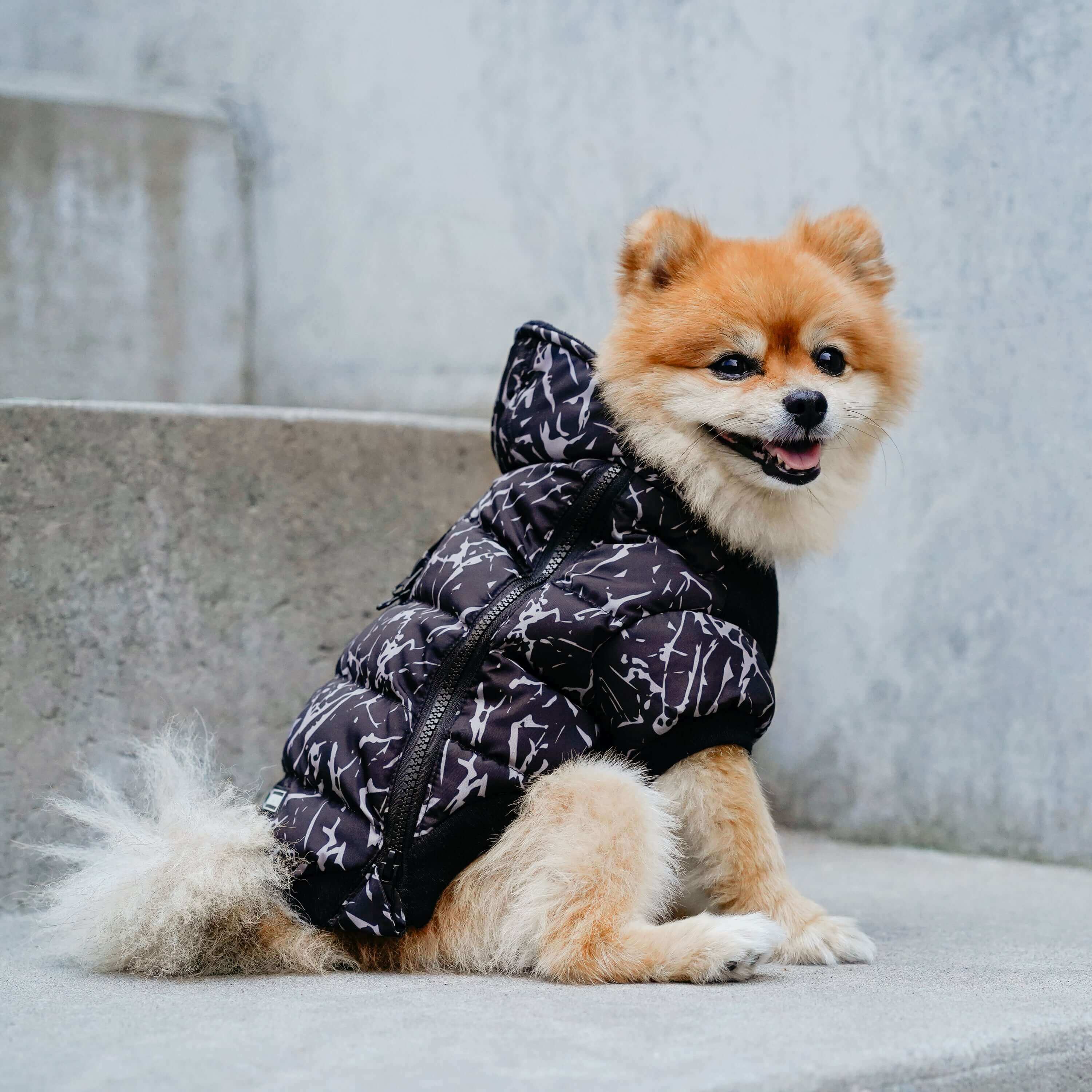 Prism Puffer - Image 25