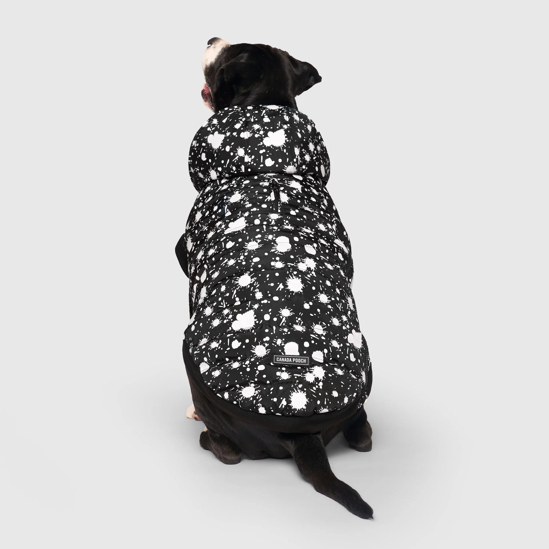 Prism Puffer - Image 7