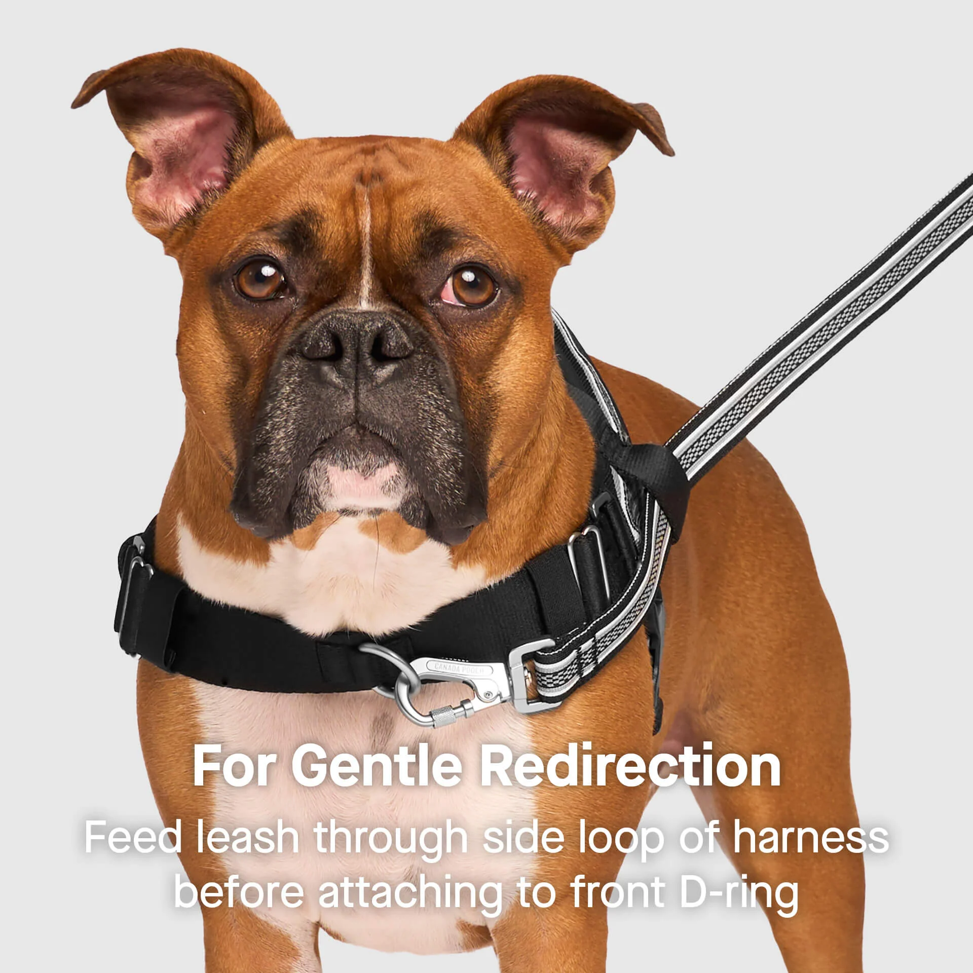 Re-Direct Harness - Image 2