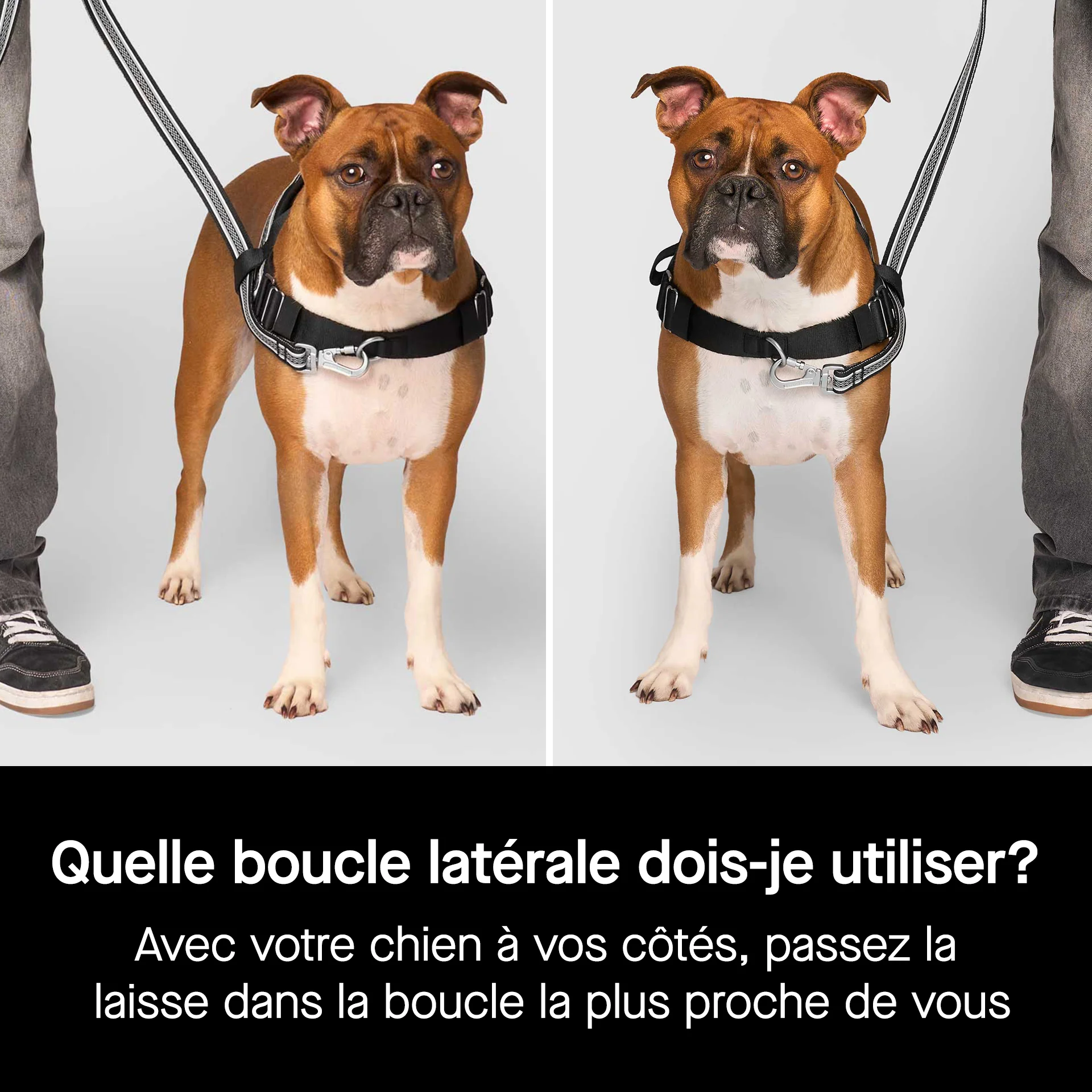 Re-Direct Harness - Image 20