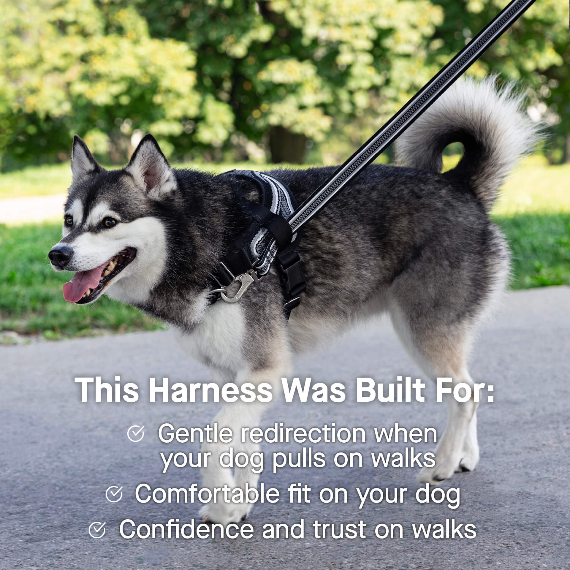 Re-Direct Harness - Image 21