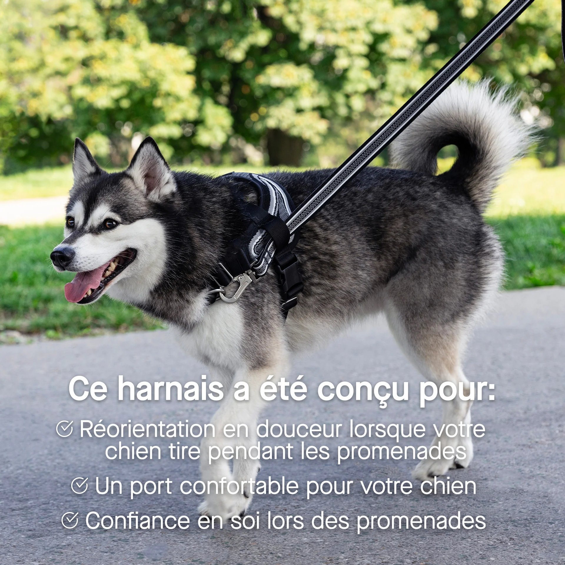 Re-Direct Harness - Image 22
