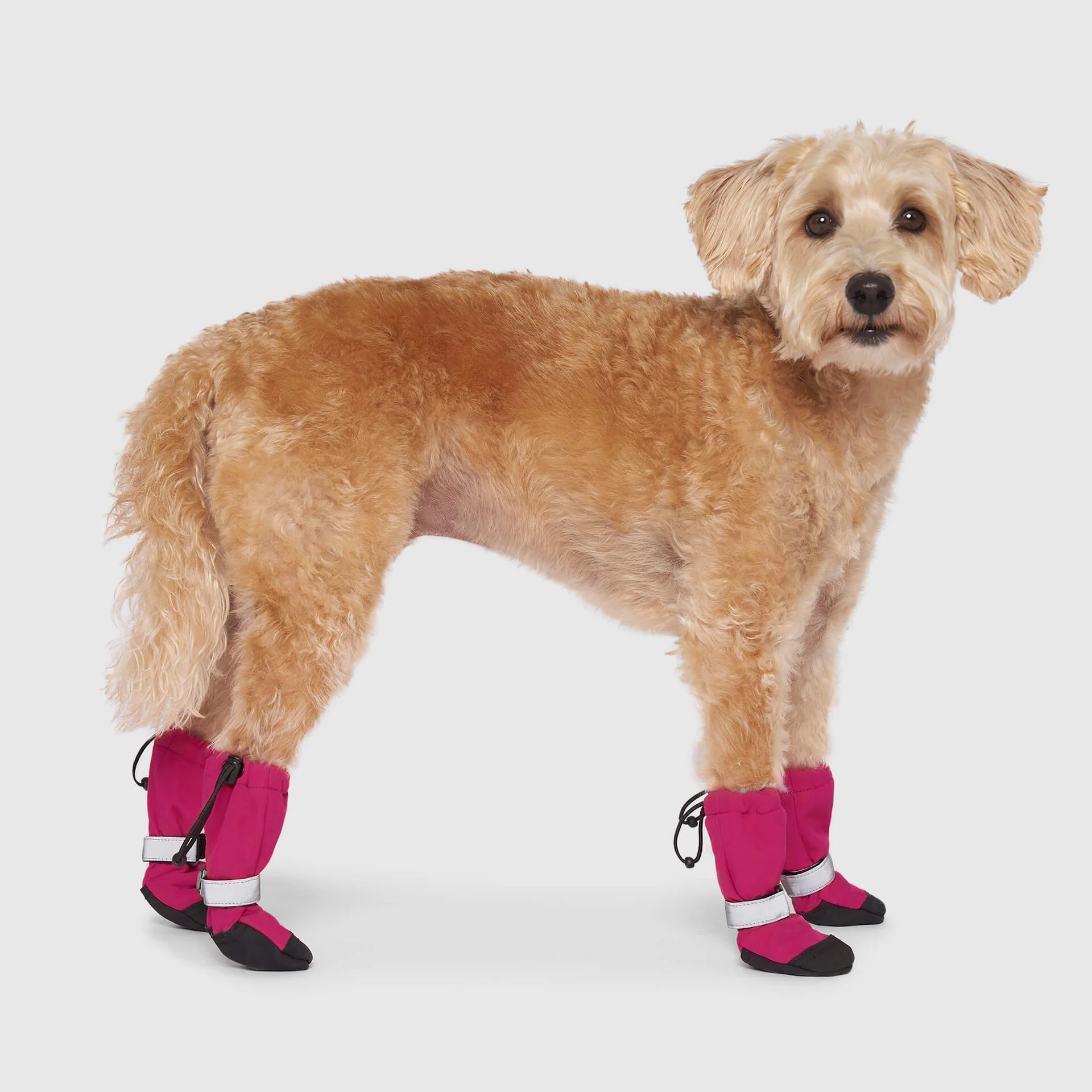 Soft Shield Boots - Image 29