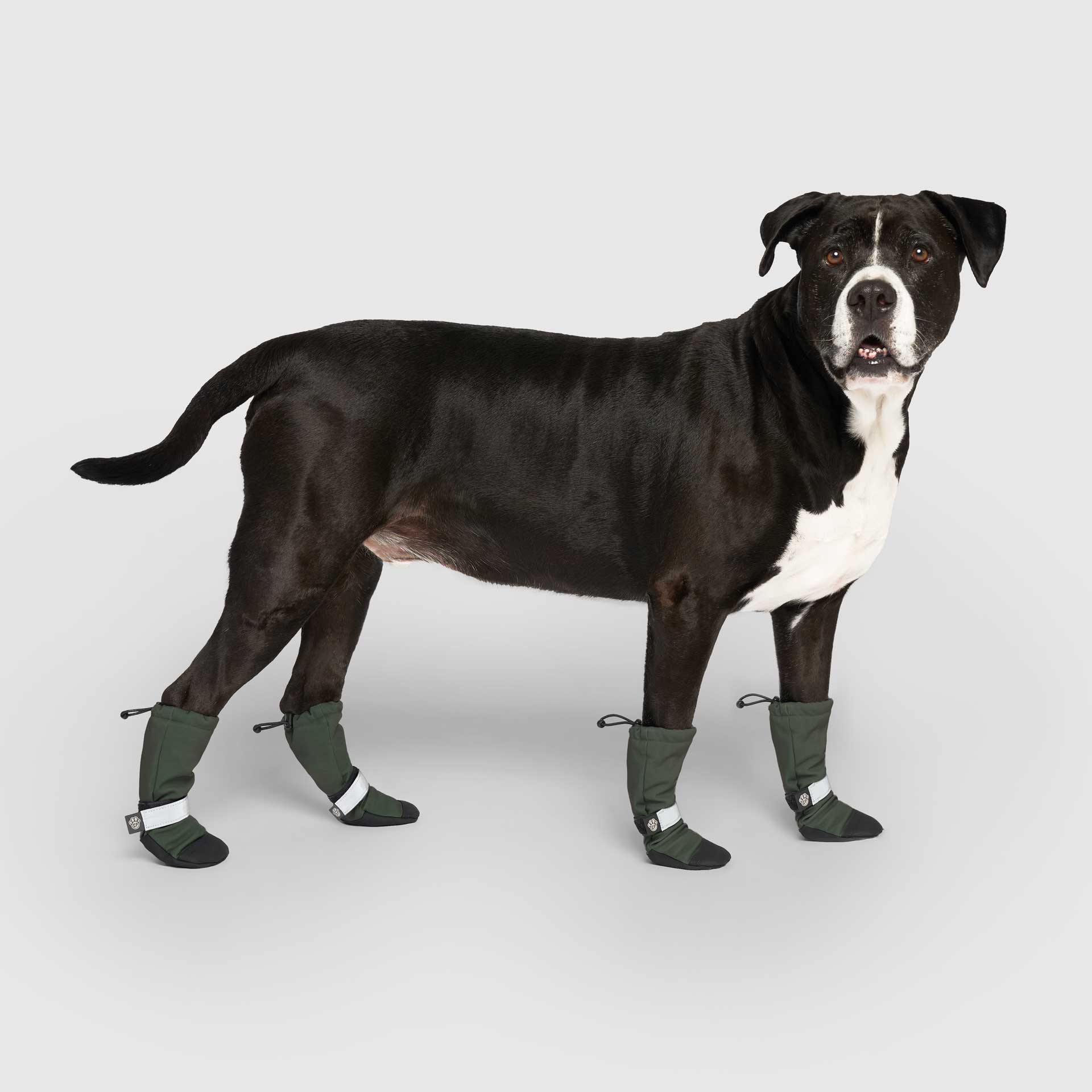 Soft Shield Boots - Image 3