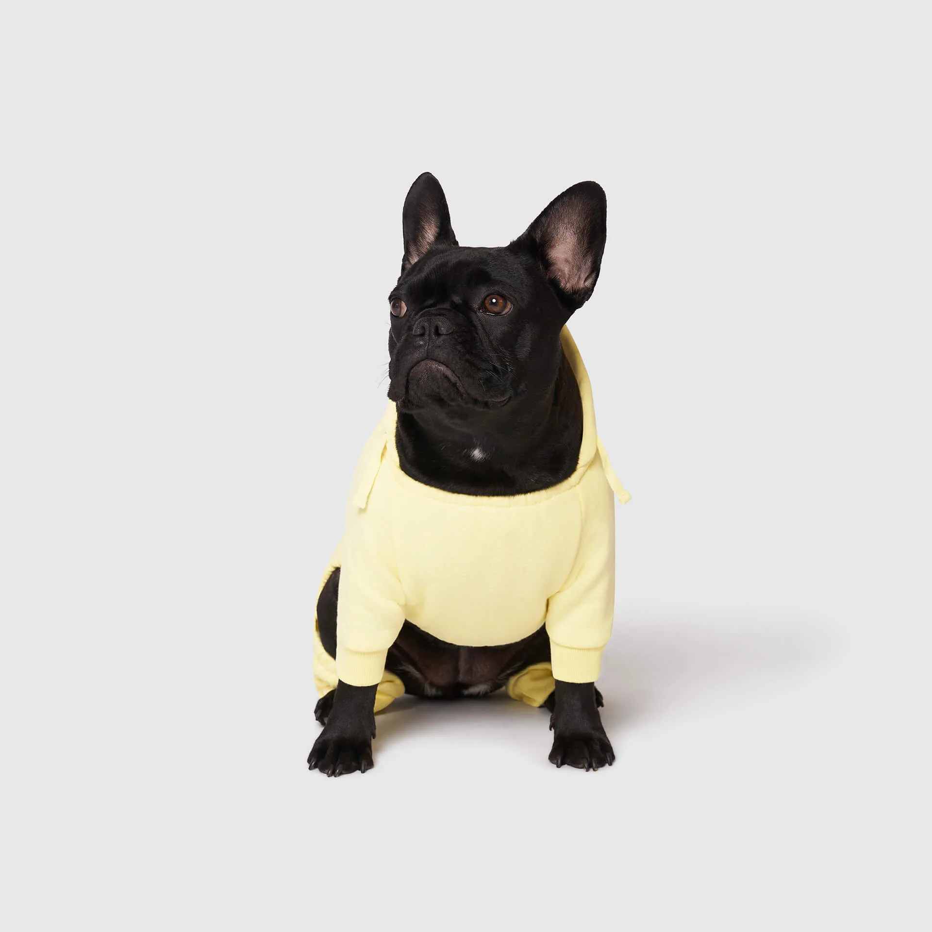 Soft Side Sweatsuit - Image 8