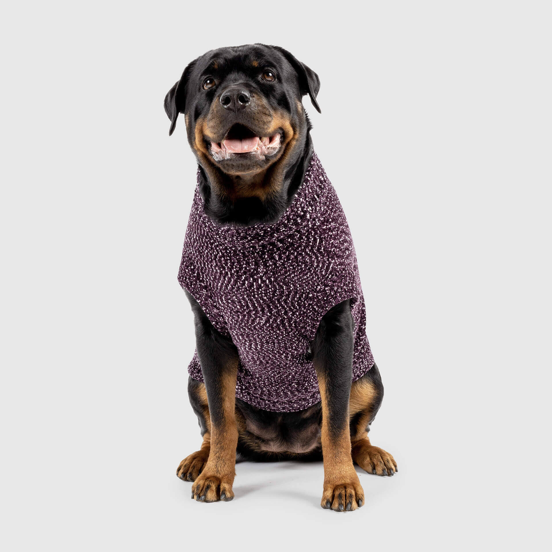 Soho Sweater - Image 6