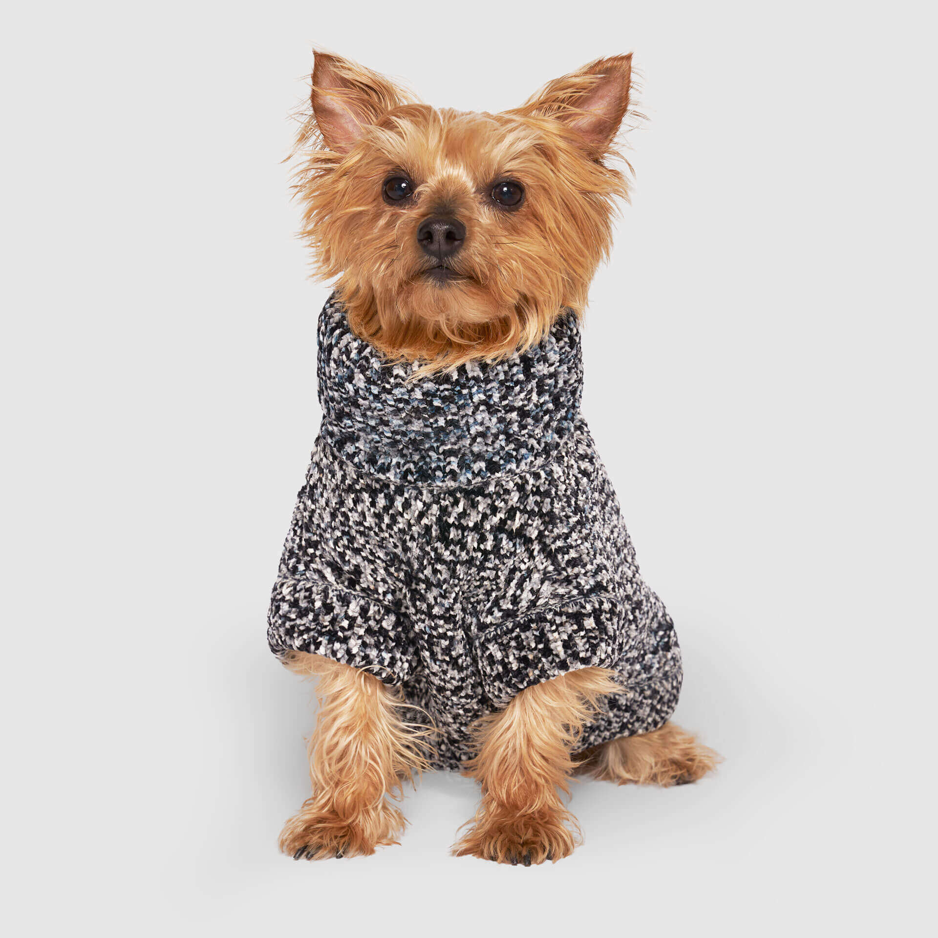 Soho Sweater - Image 9