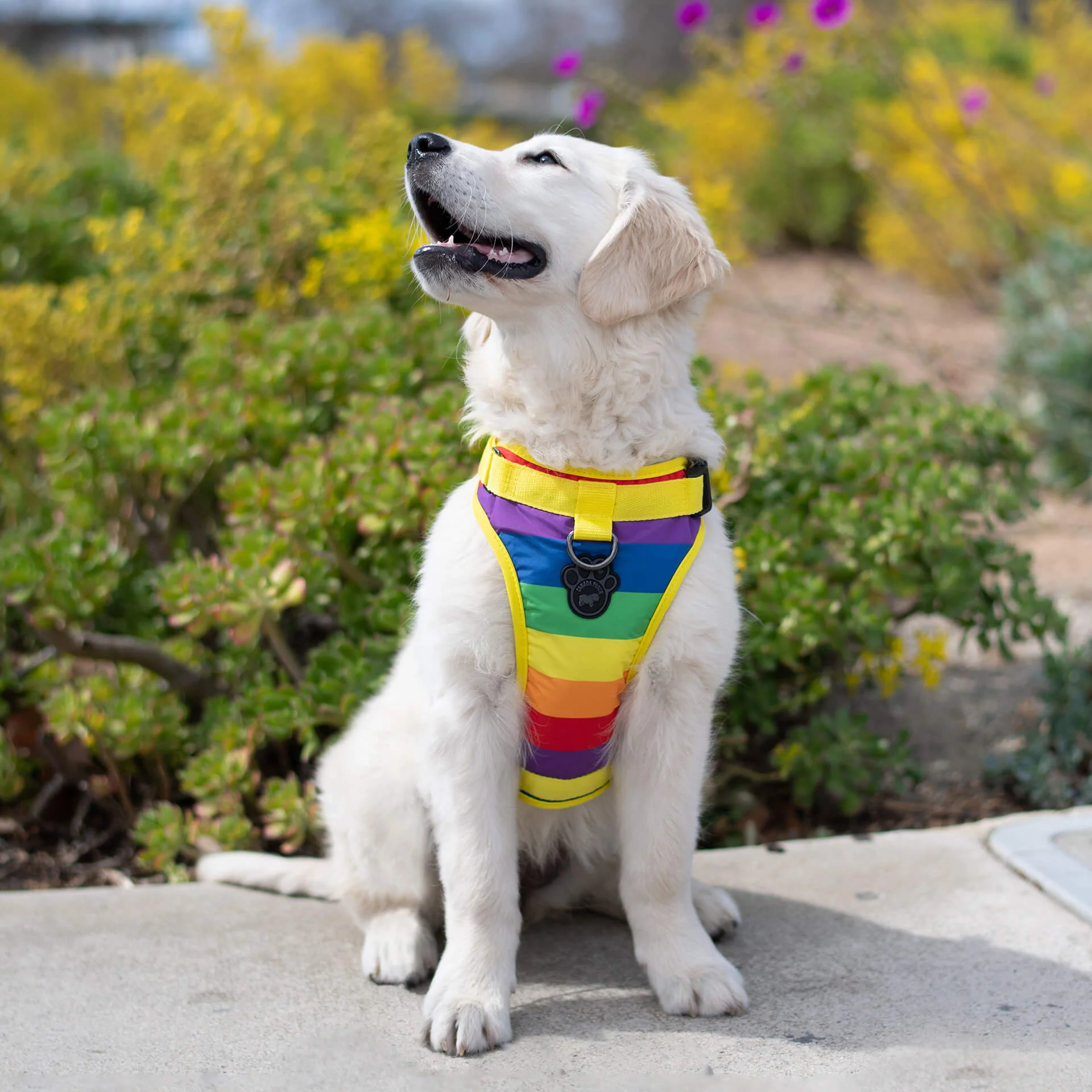 The Everything Harness Water-Resistant Series - Image 15
