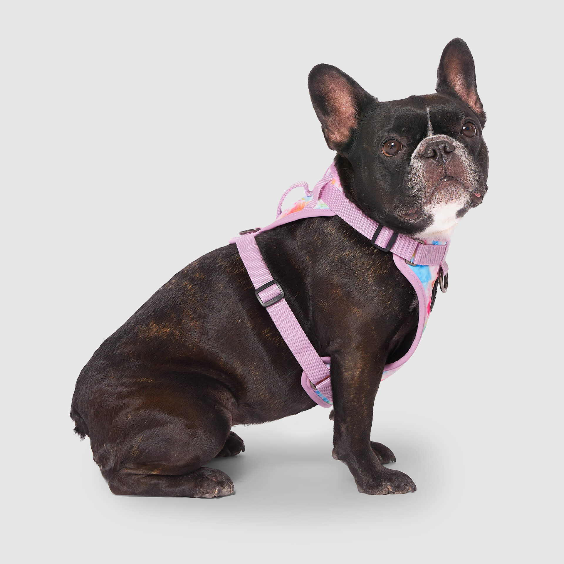 The Everything Harness Water-Resistant Series - Image 17