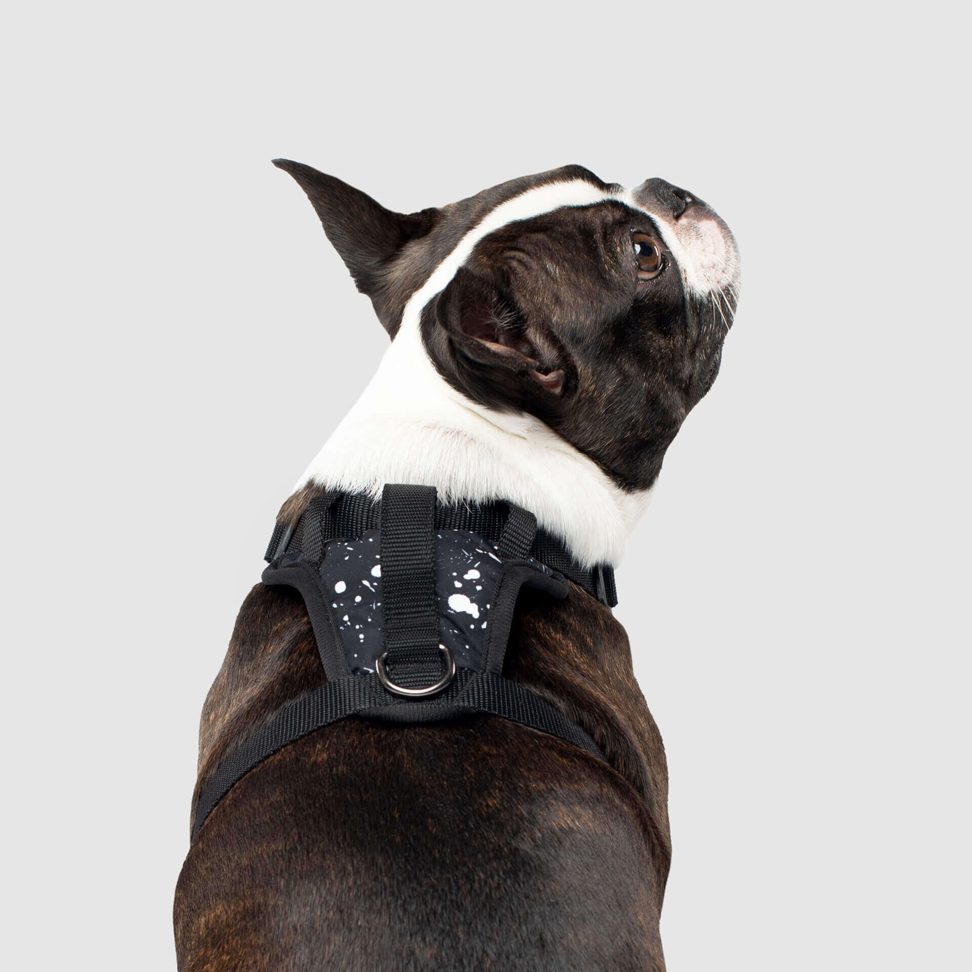 The Everything Harness Water-Resistant Series - Image 3