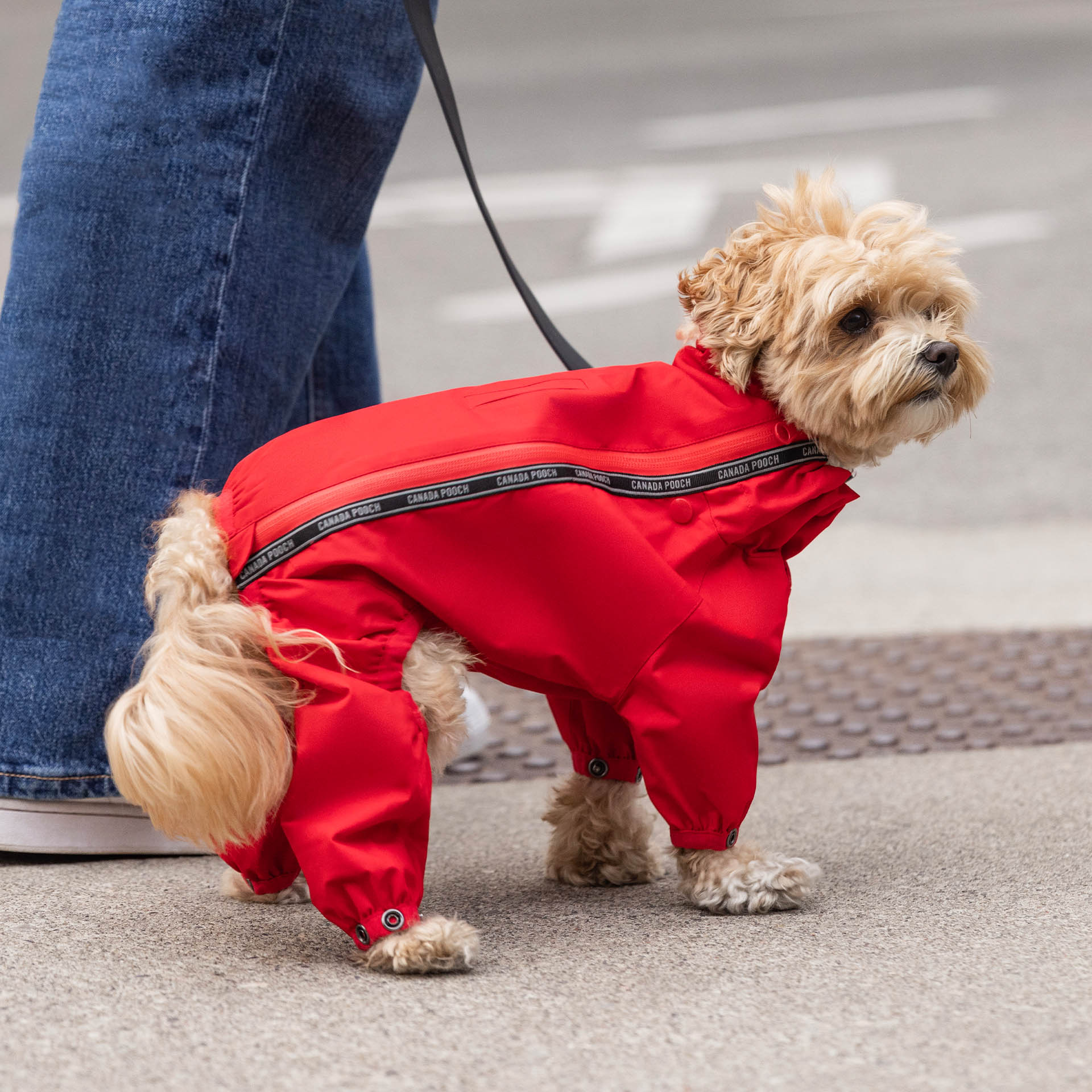 The Slush Suit - Image 10