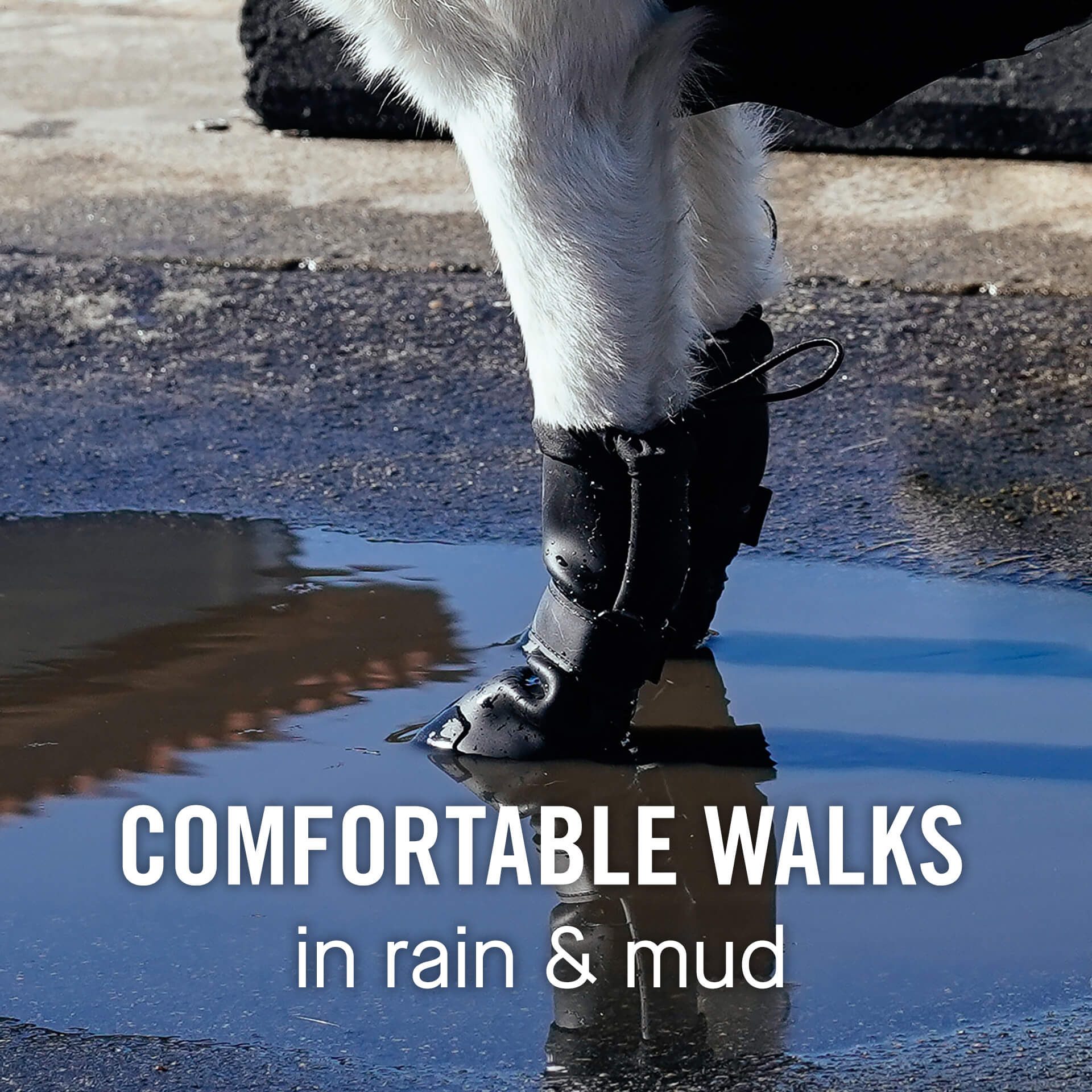 Waterproof Rain Boots - Image 13