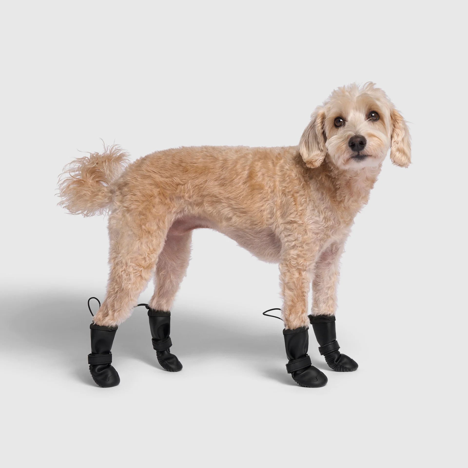 Waterproof Rain Boots - Image 2