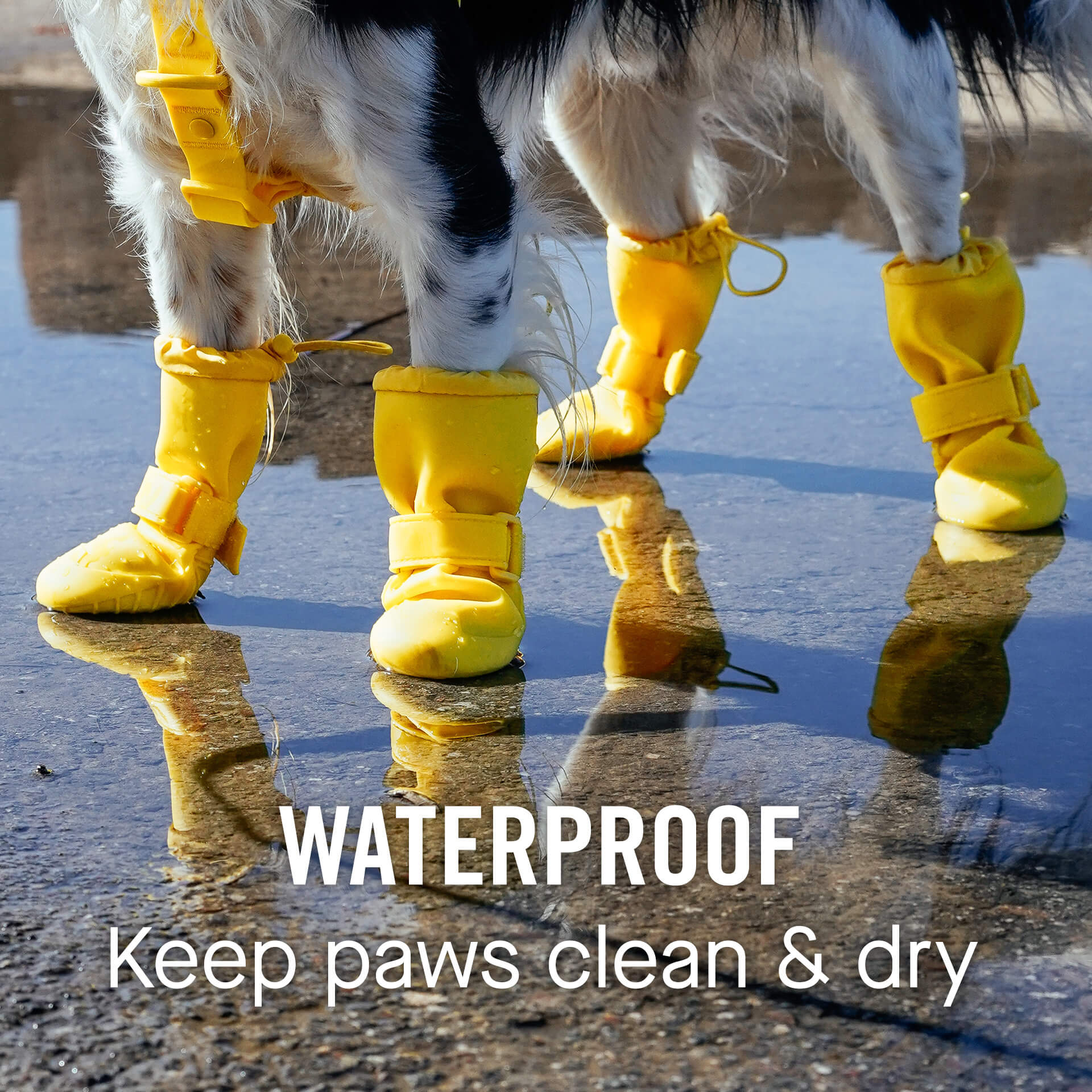 Waterproof Rain Boots - Image 3
