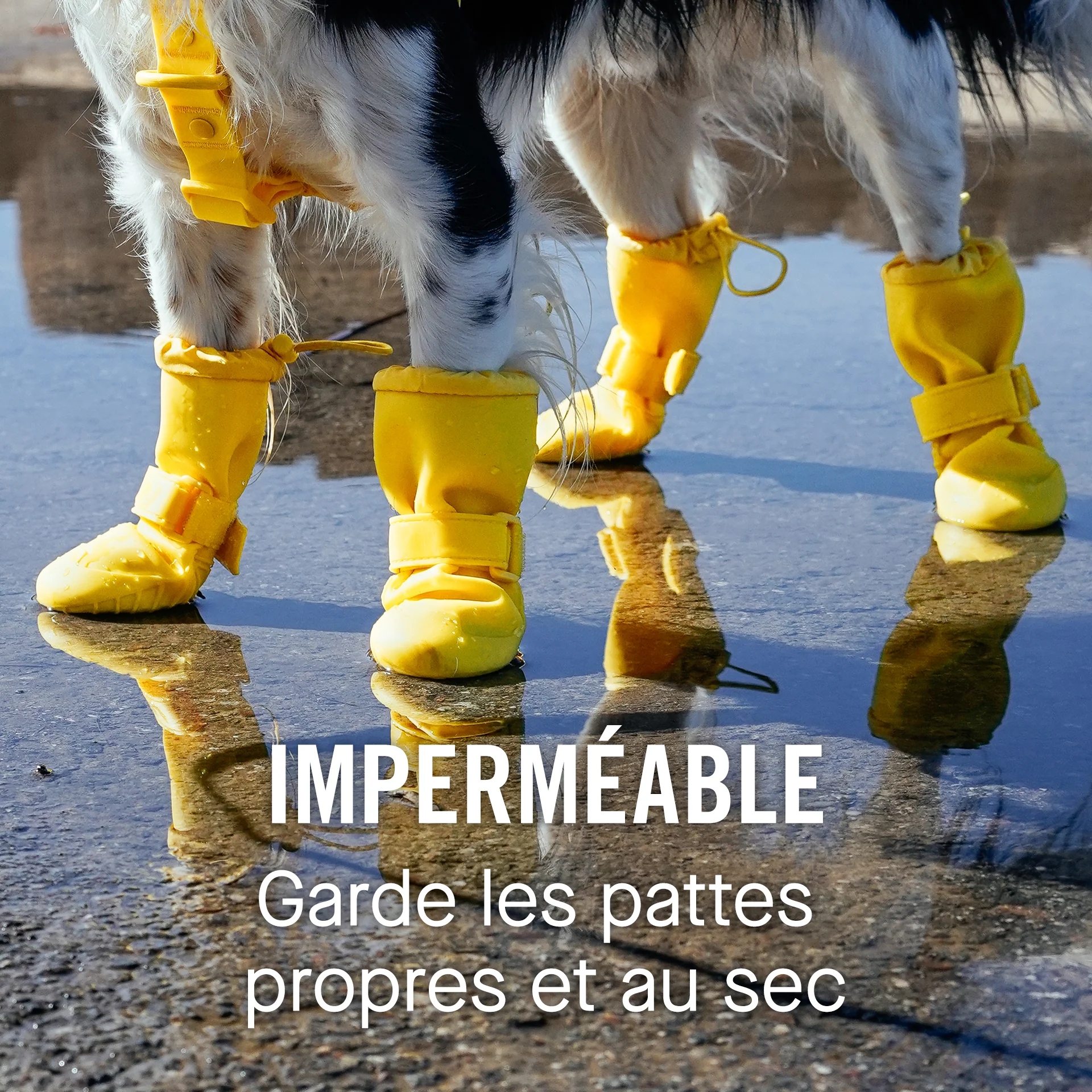 Waterproof Rain Boots - Image 4